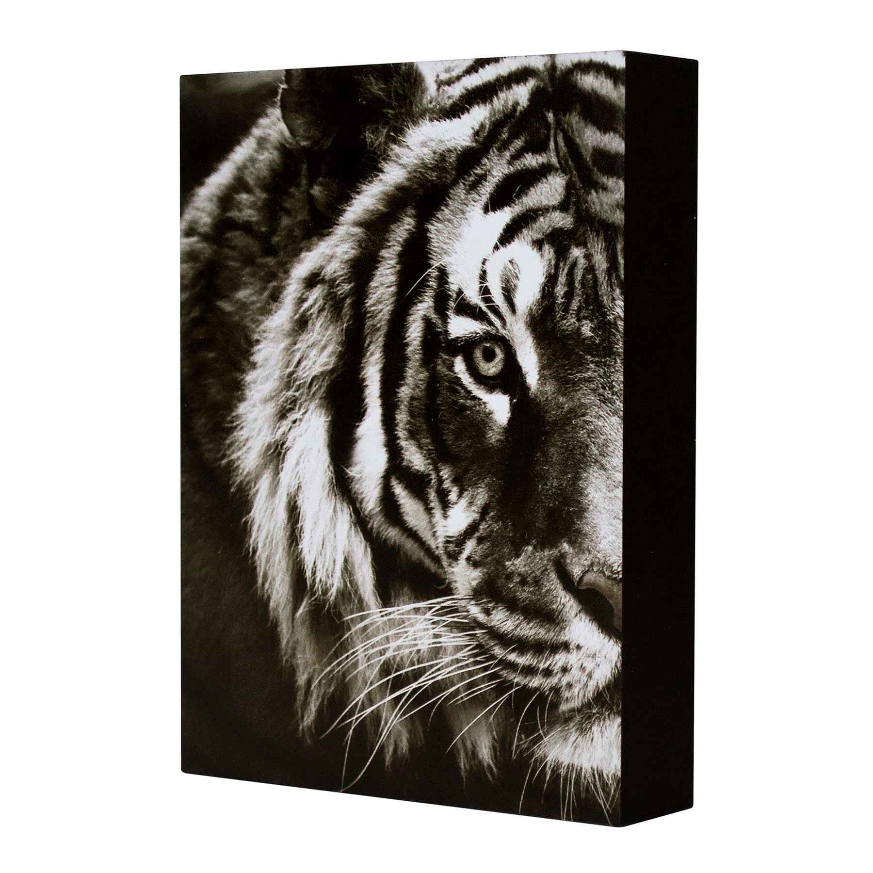 Tiger Block, 6x8