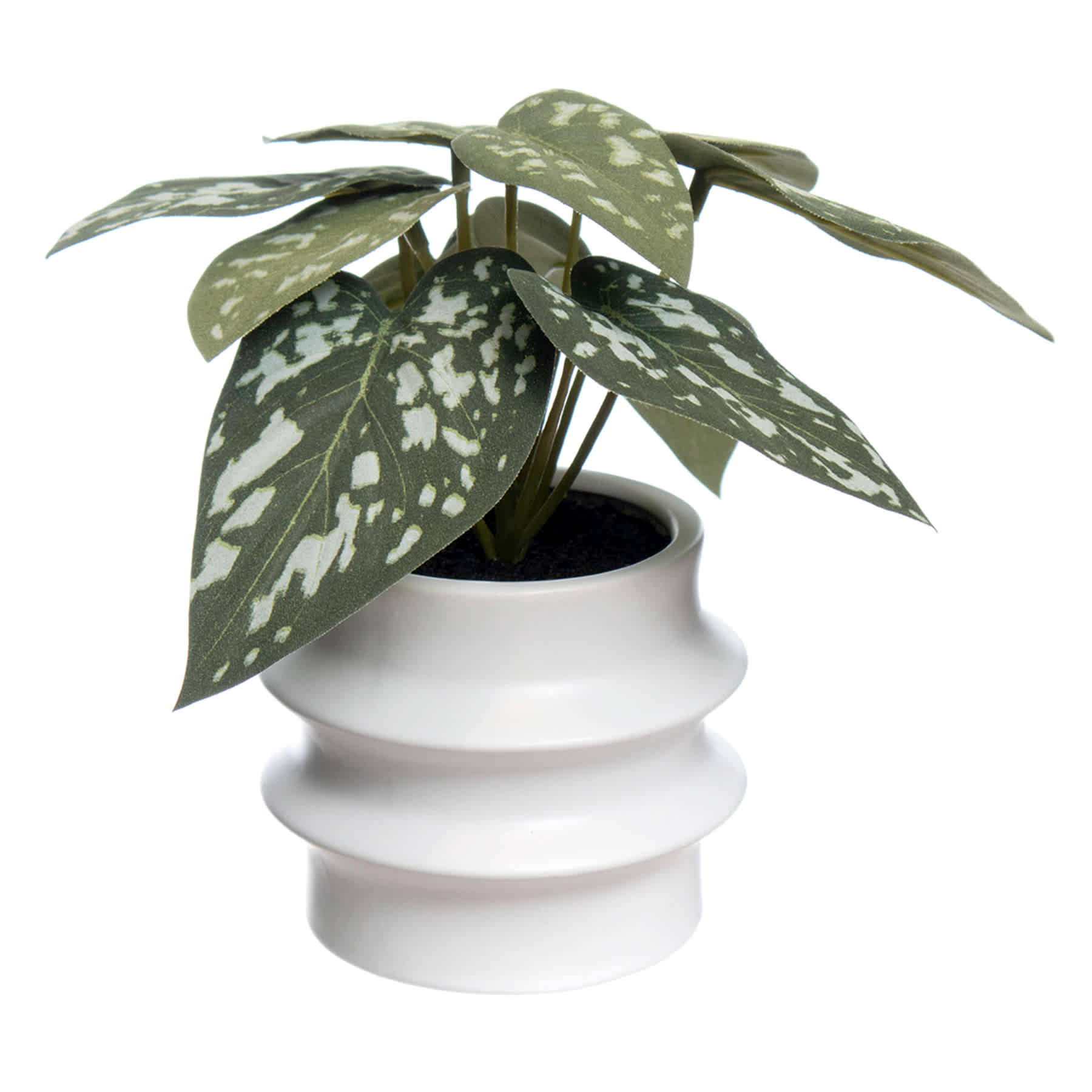 Begonia Leaf in Ceramic Pot, 7"