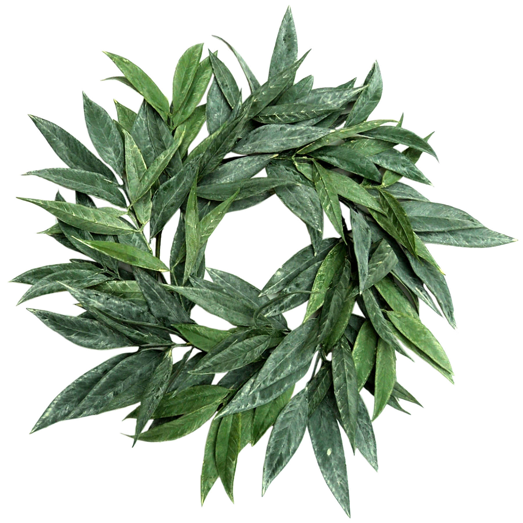 Willow Wreath, 24"