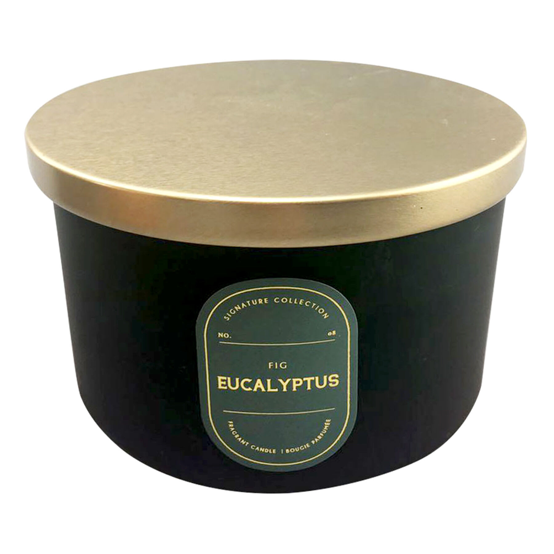 Fig Eucalyptus Scented Jar Candle, 16oz