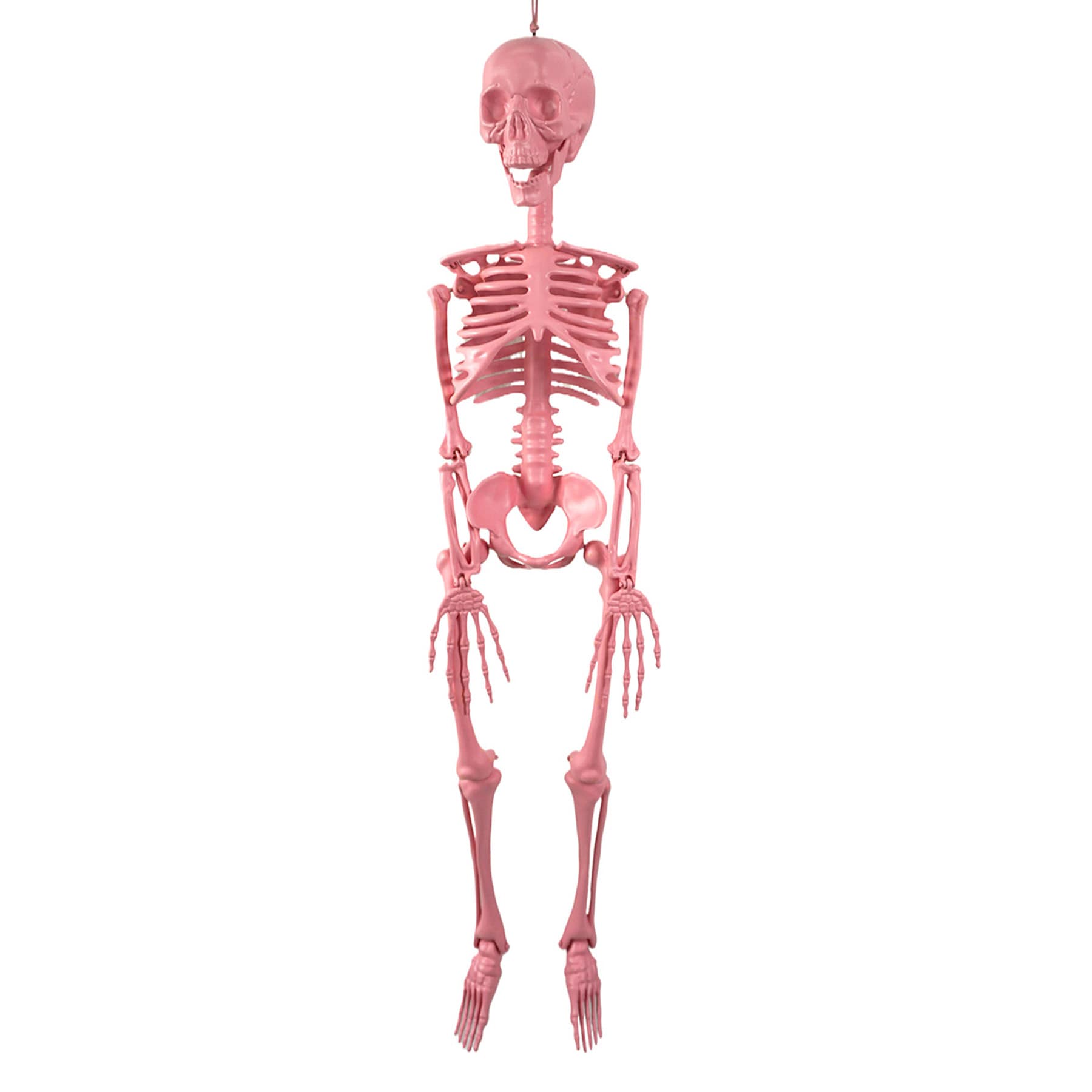 Pink Skeleton, 36"