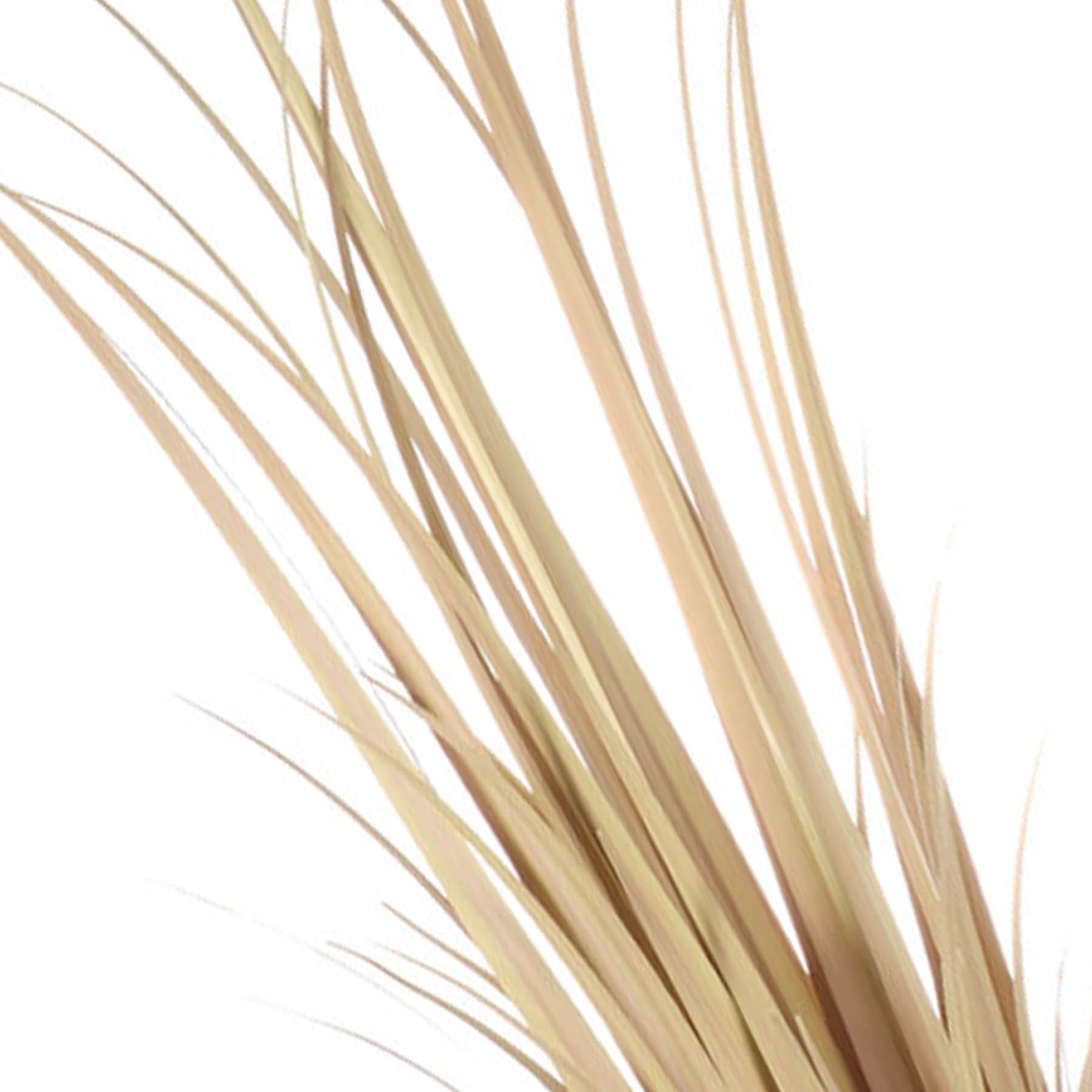 Light Dried Grass Bundle, 3'