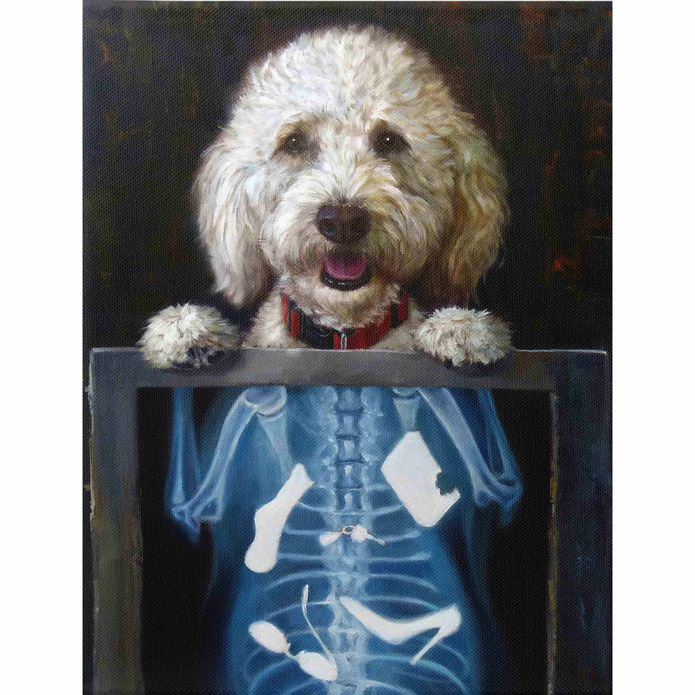 X-Ray Dog Canvas Wall Art, 12x16