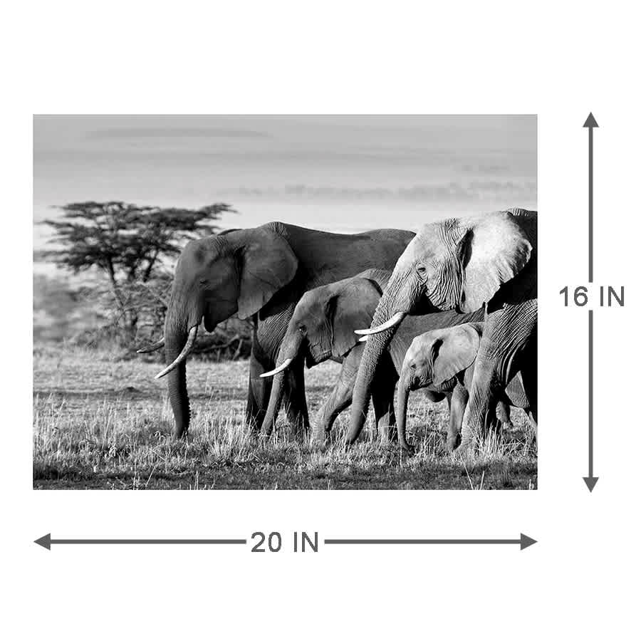 African Elephants Canvas Wall Art, 20x16