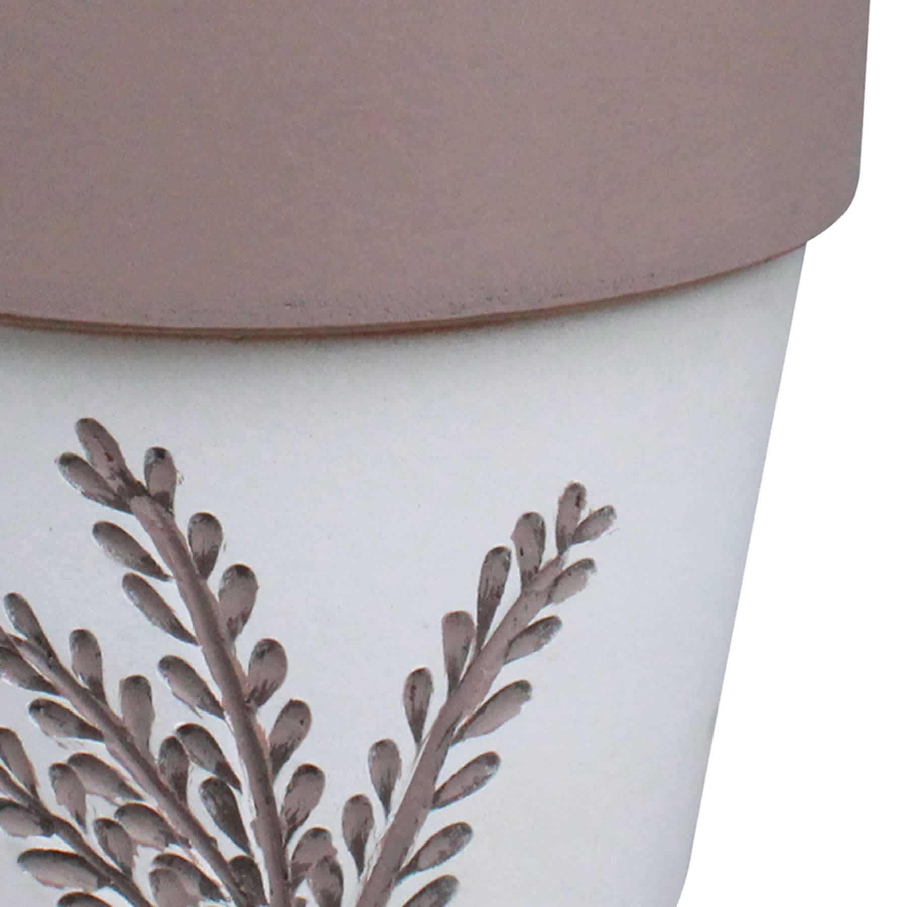 Indoor Vines Terra Planter, 5"