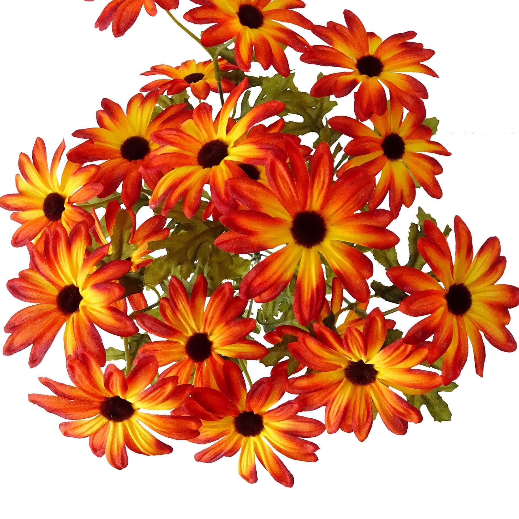 Orange 20-Head Daisy Bush, 18"