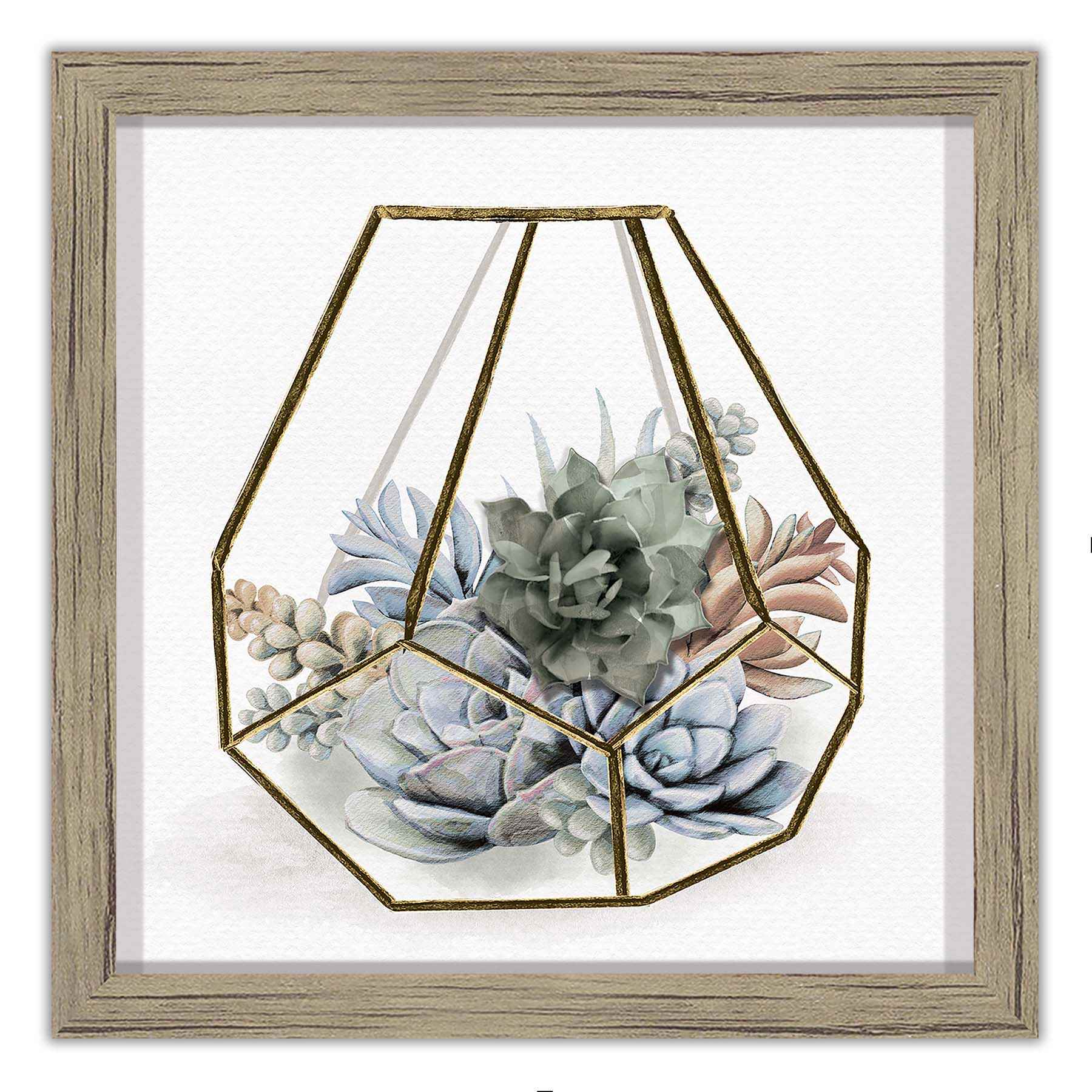 Glass Framed Succulent Print Wall Art, 10"