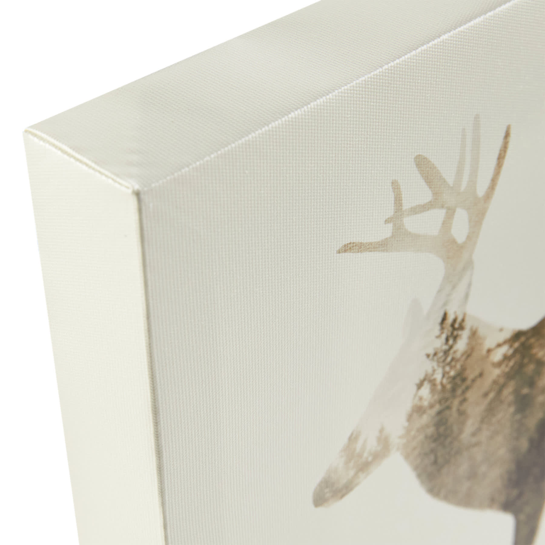 Ty Pennington The Wilderness IV Canvas Wall Art, 16x12