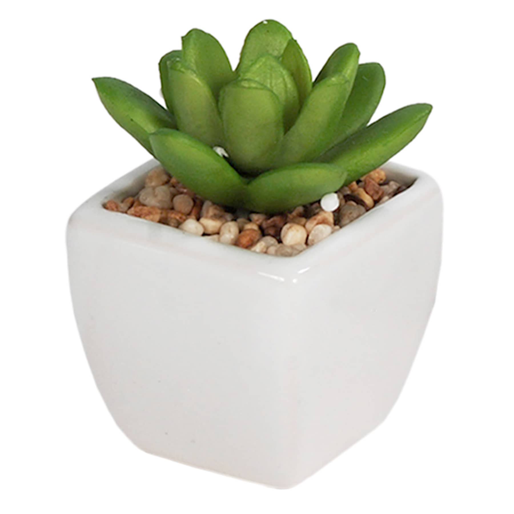 Set of 3 Succulents in White Vase