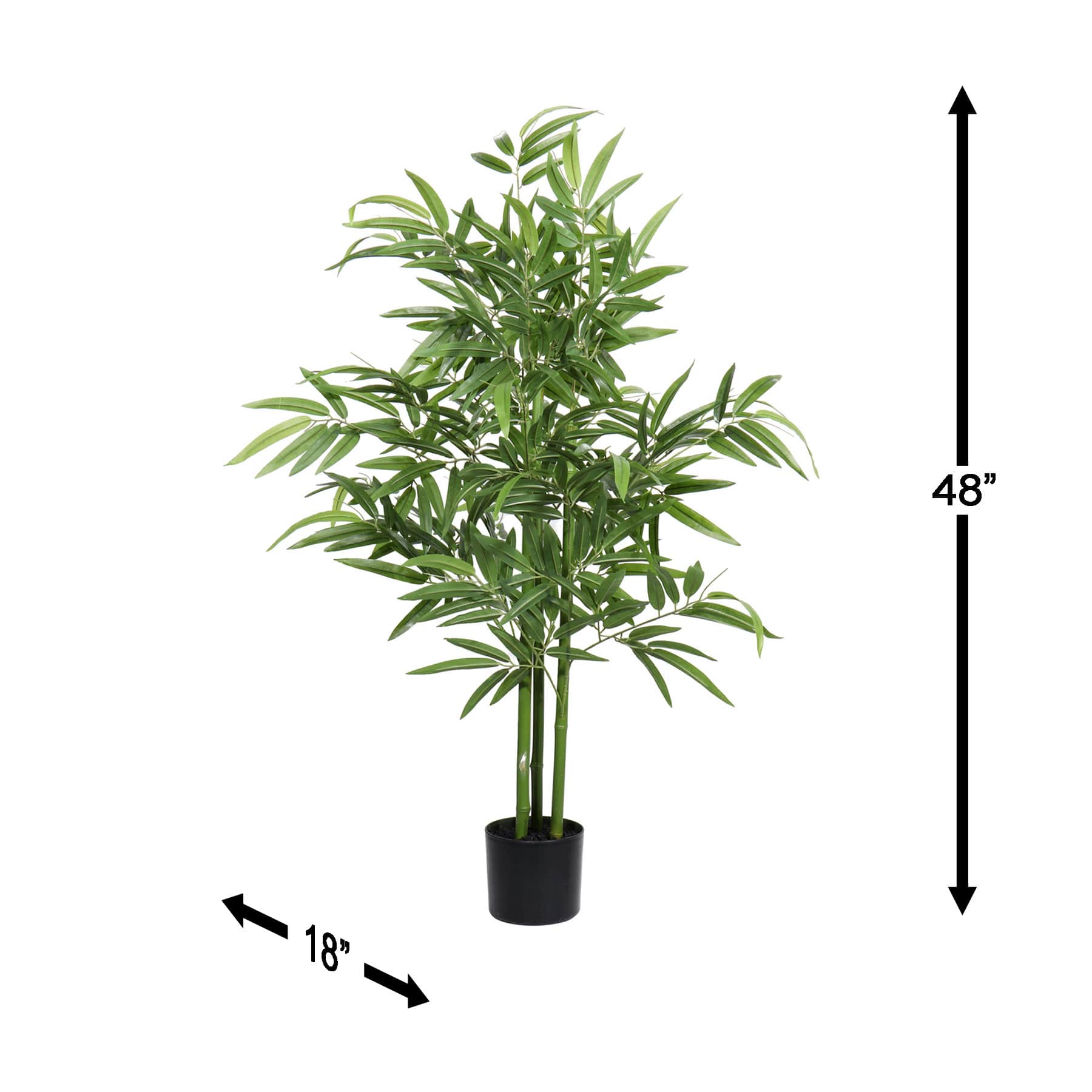 Bamboo Tree in Black Pot, 4.5'