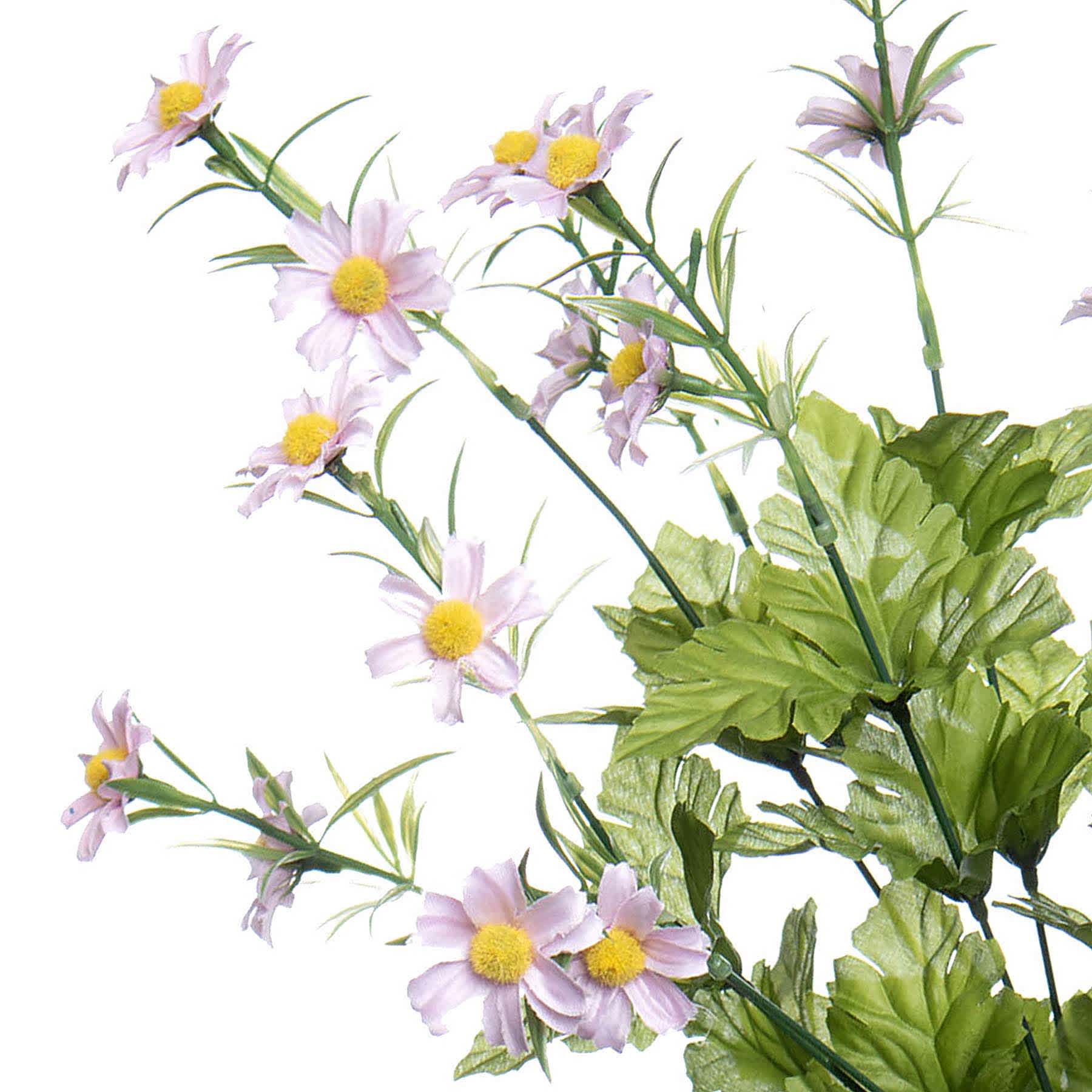 Purple Daisy Bush, 19"