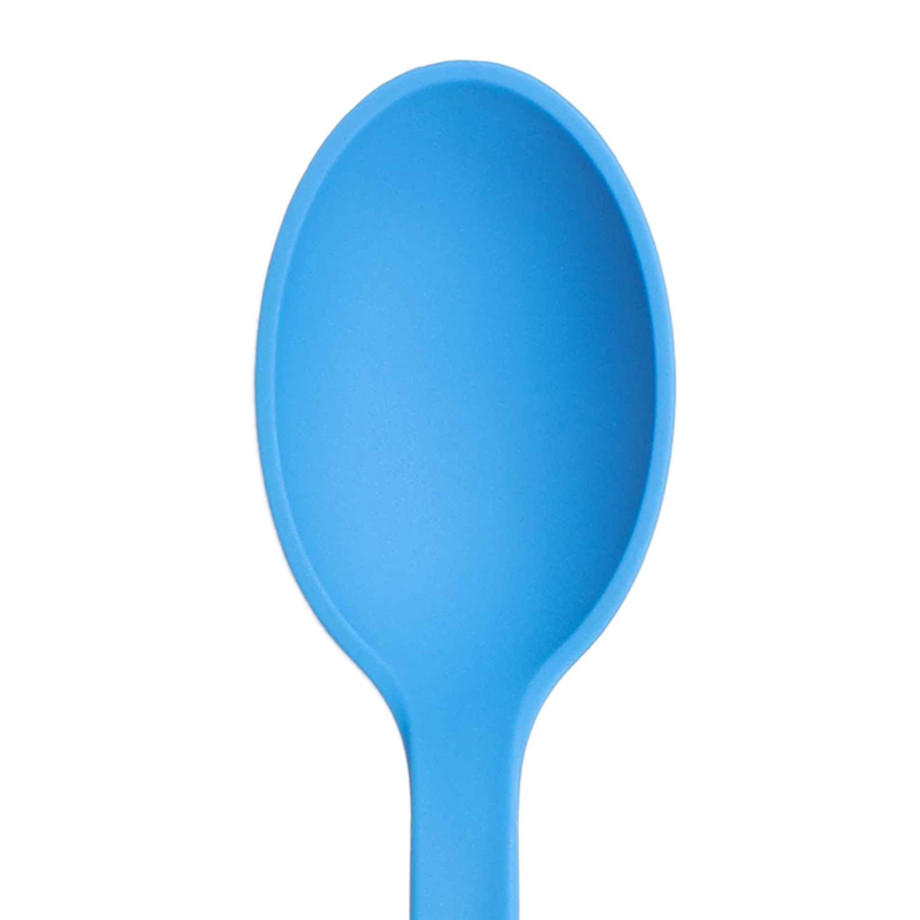 Blue Nylon Solid Serving Spoon