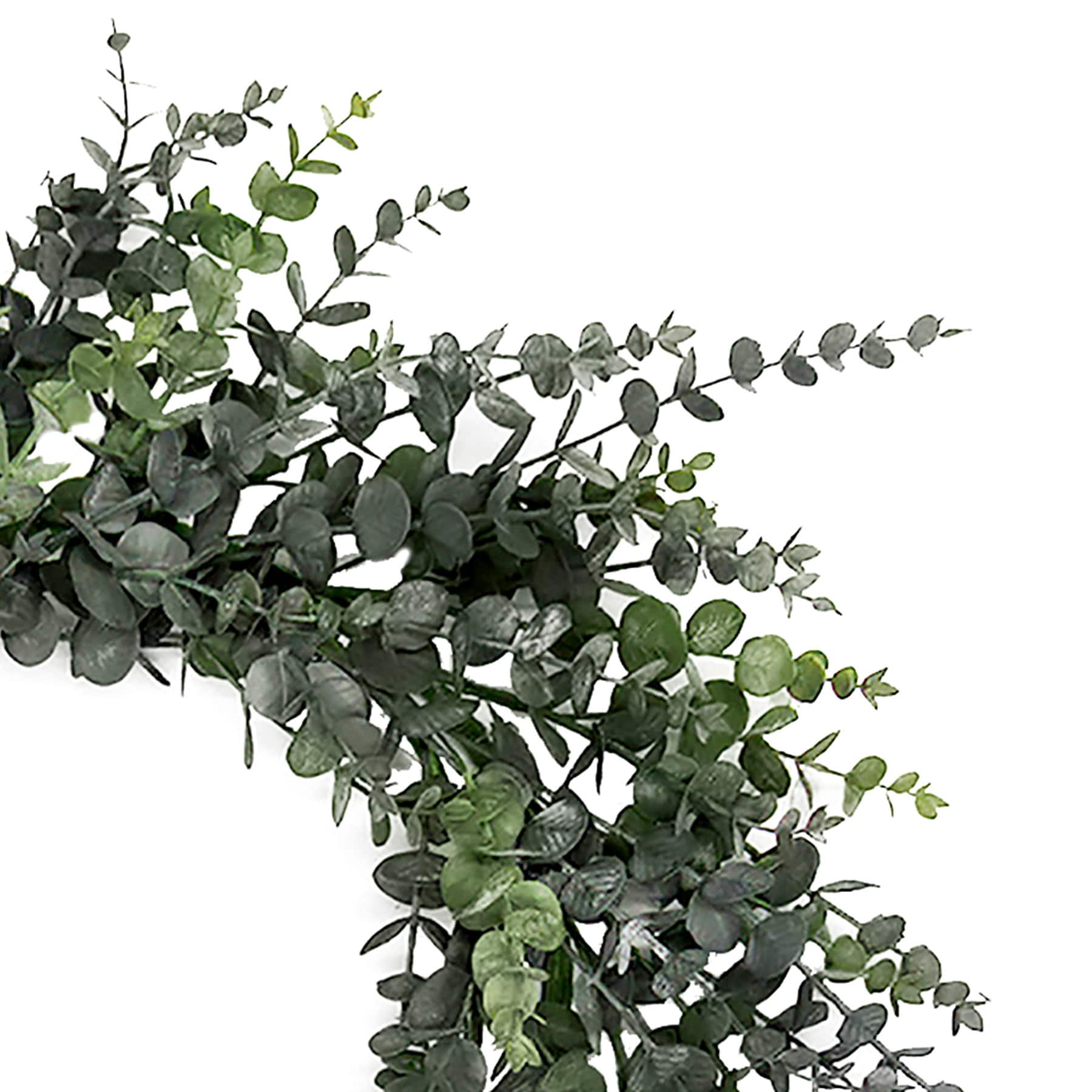 Honeybloom Eucalyptus Wreath, 24"