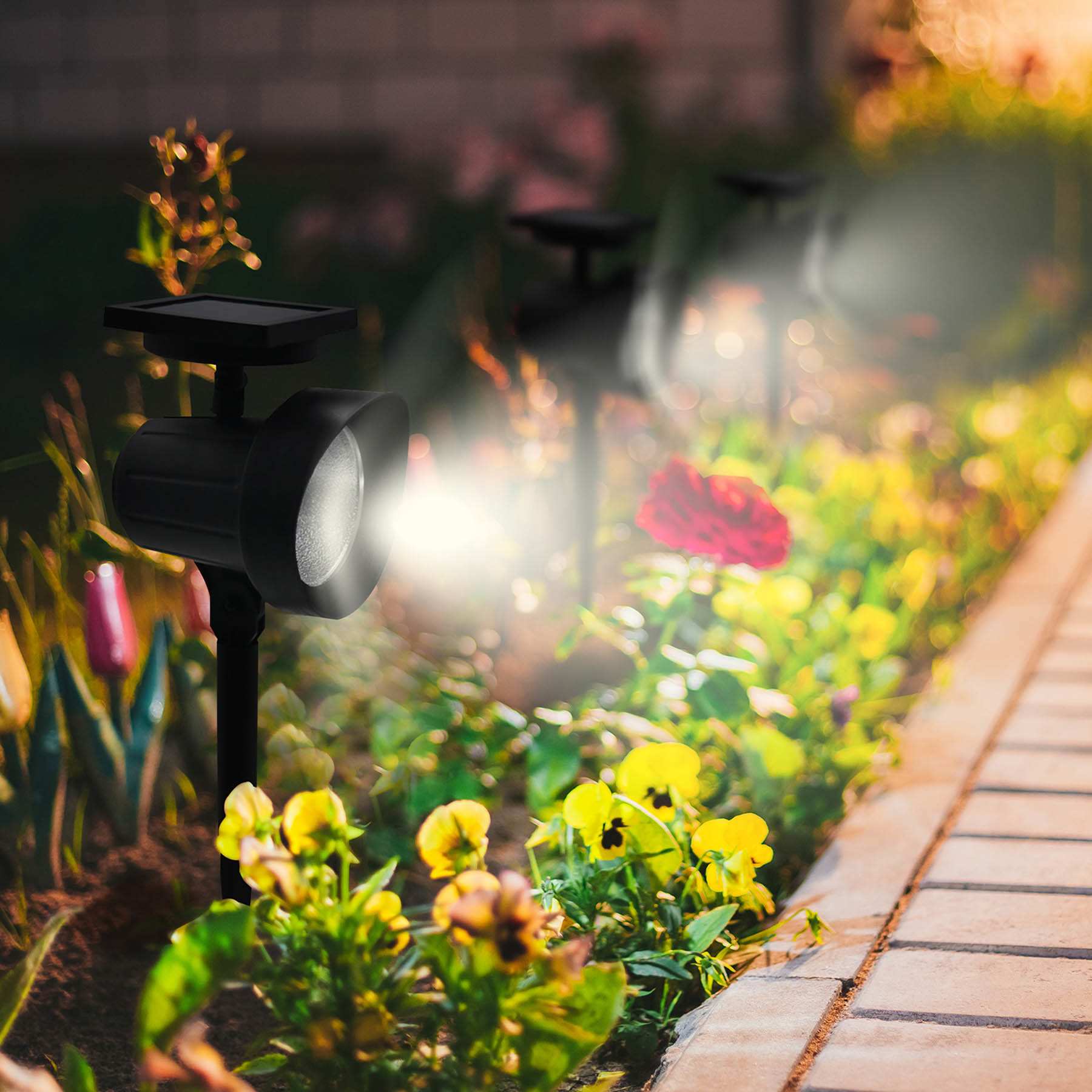 25-Lumen Solar Black Spotlight