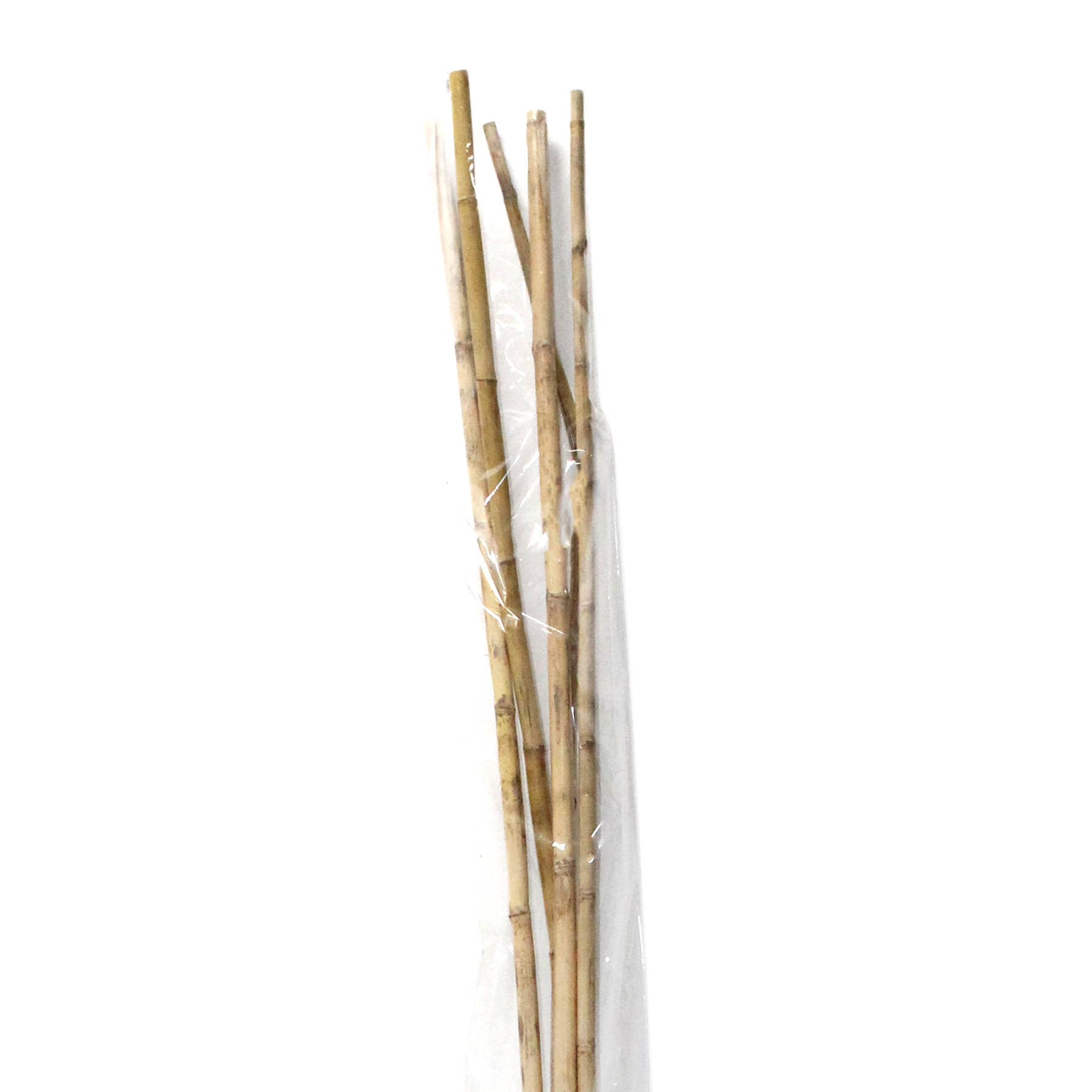Found & Fable 5-Piece Natural Nanal Stick Bunch