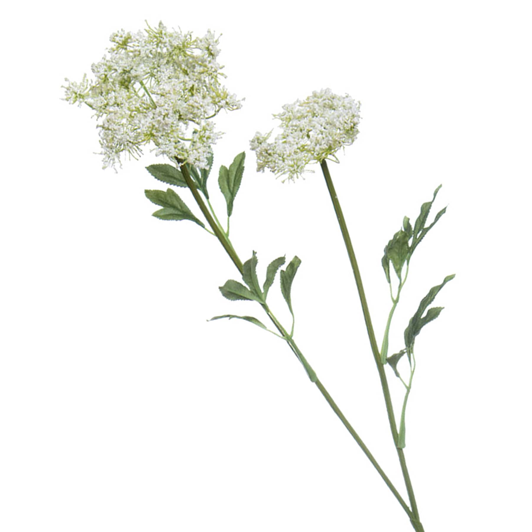 35IN QUEEN ANN LACE SPRAY