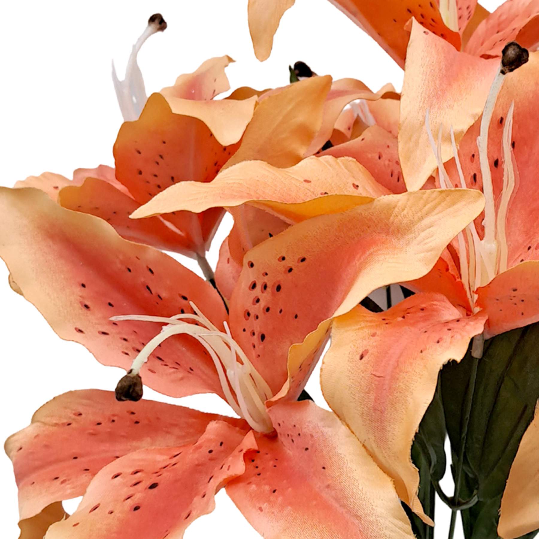Peach Tiger Lily Bush, 19"