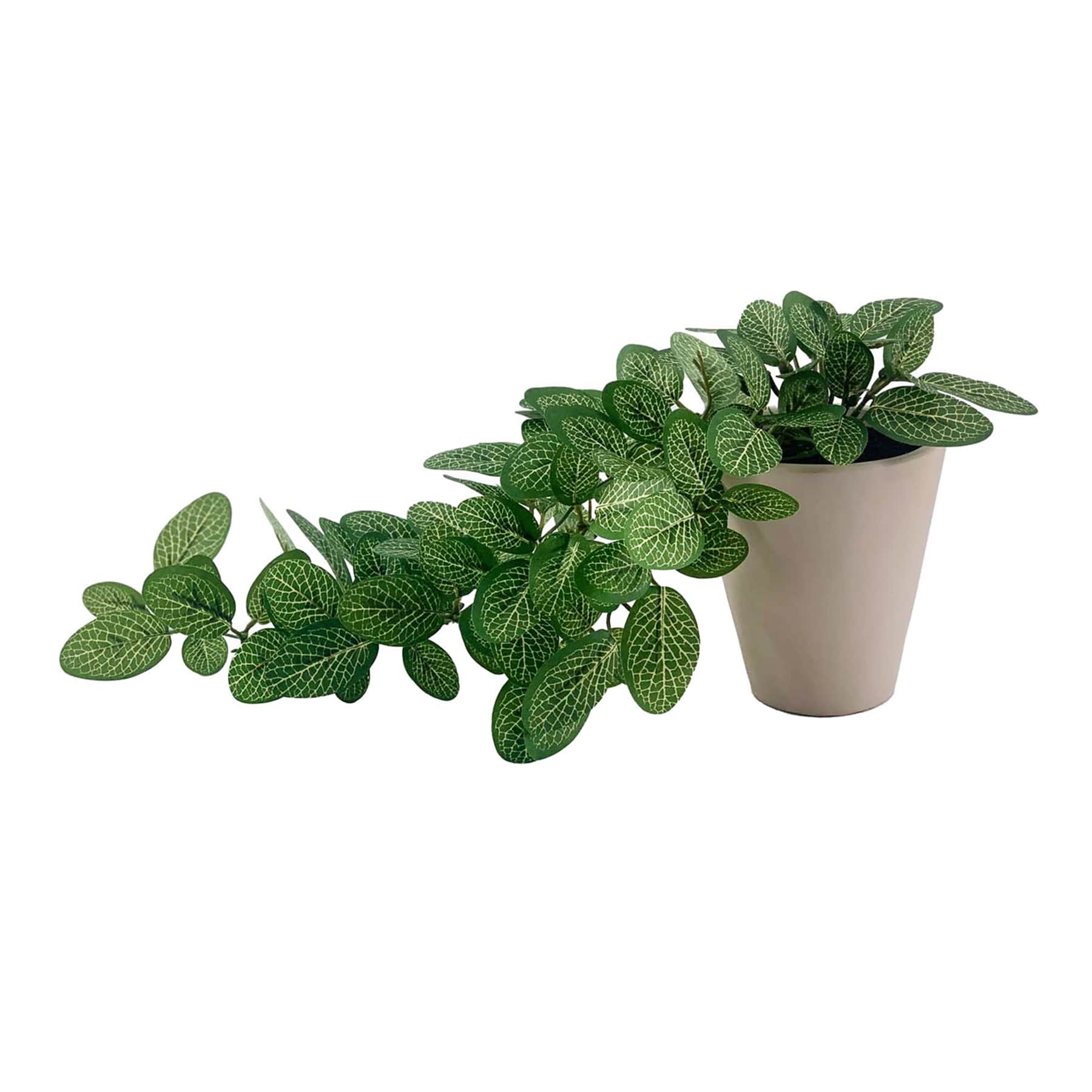 Ivy in Cement Pot, 13.8"