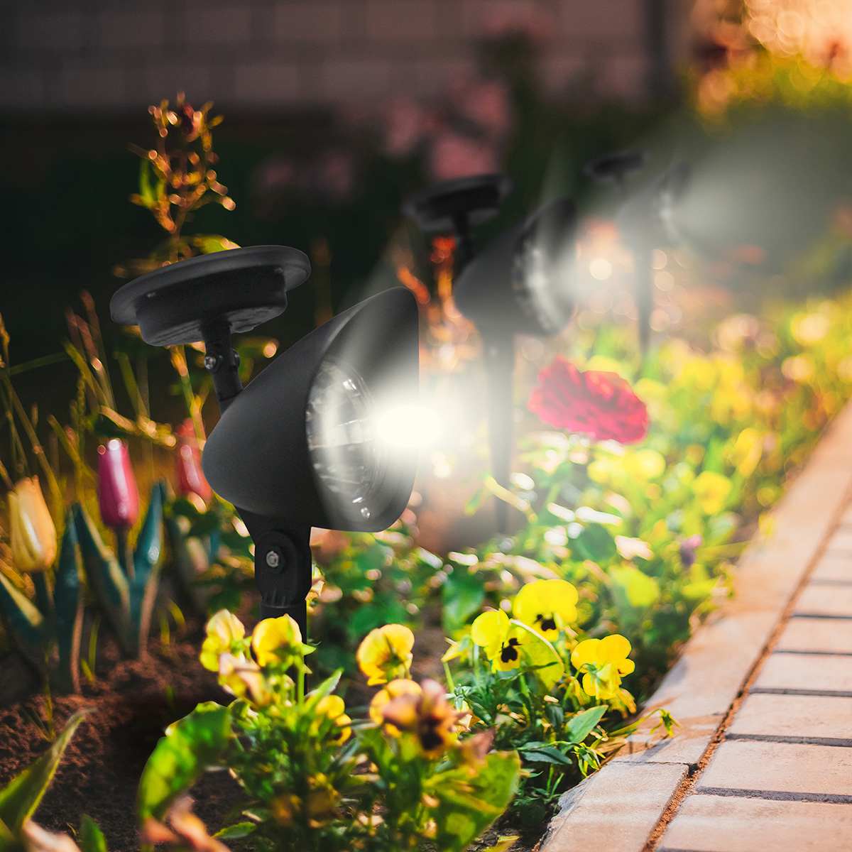 15-Lumen Solar Black Spotlight