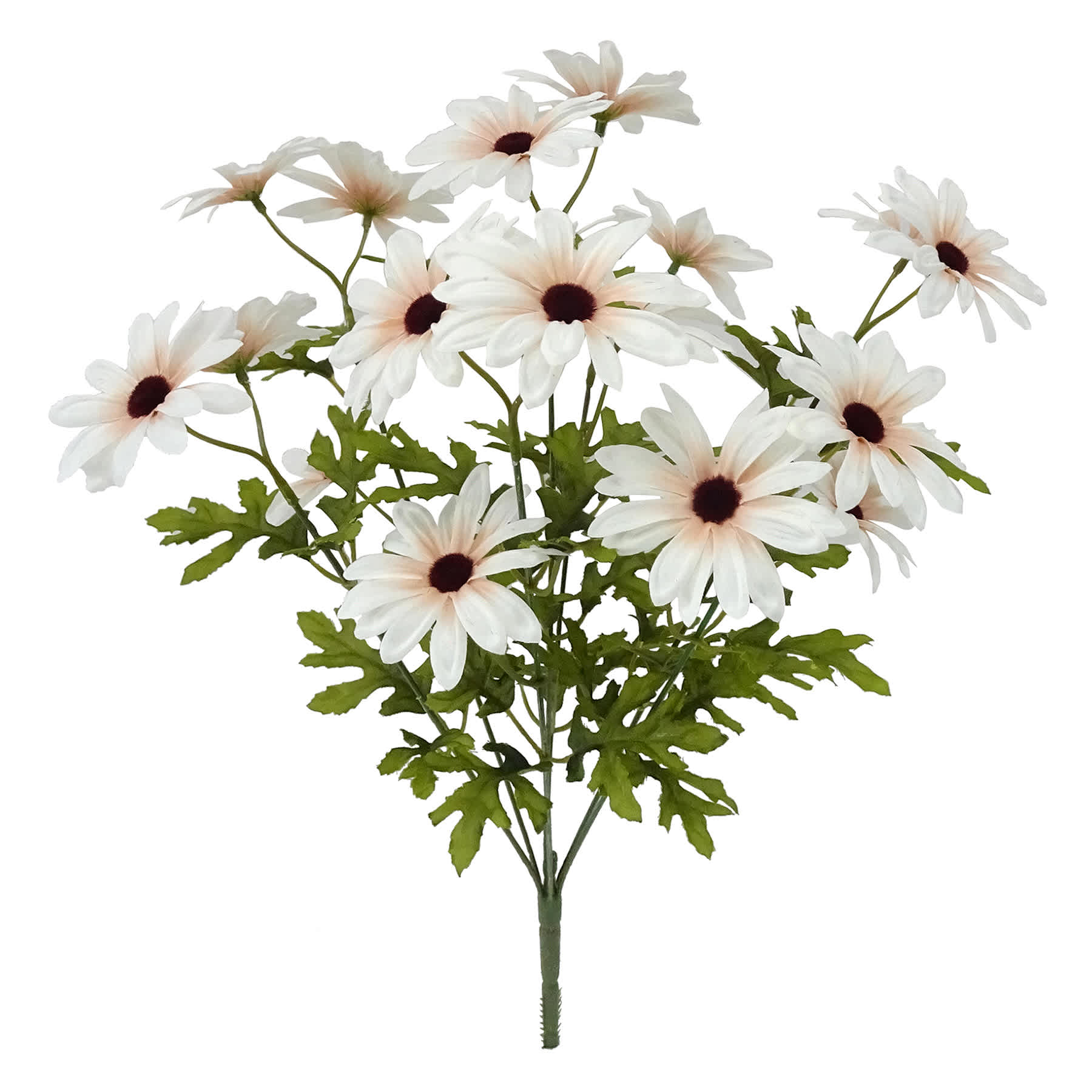White 20-Head Daisy Bush, 18"