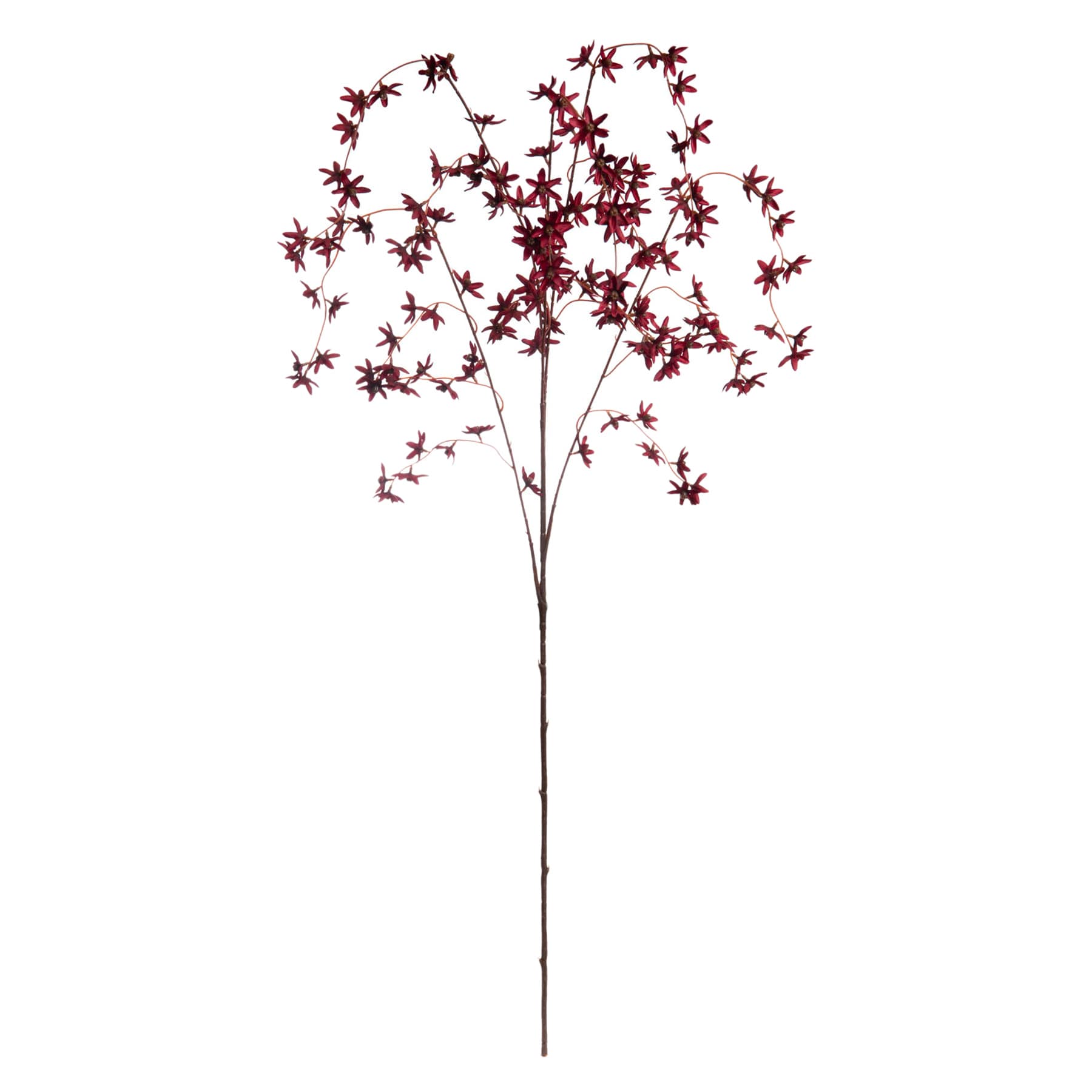 Red Star Flower Branch, 47"