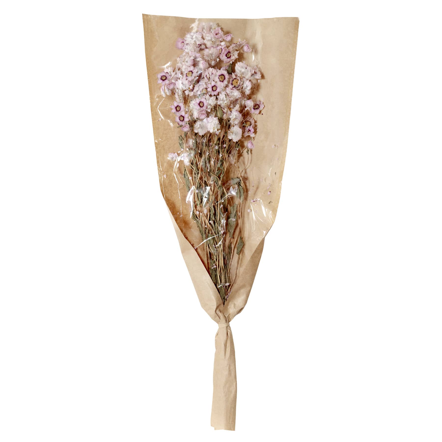 Willow Crossley Pink Daisy Bundle, 19.5"