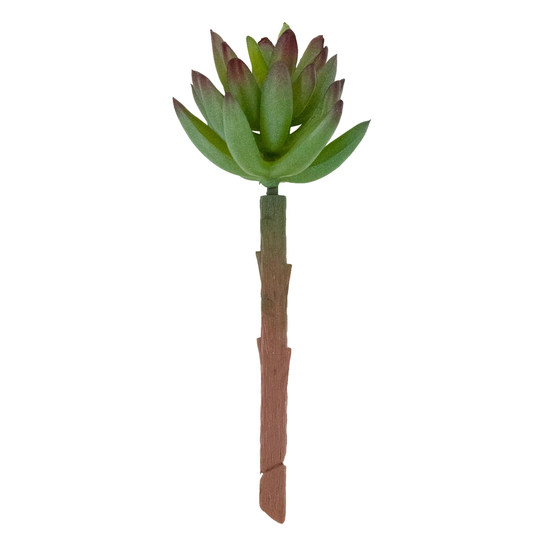 Green Succulent Pick, 5.5"