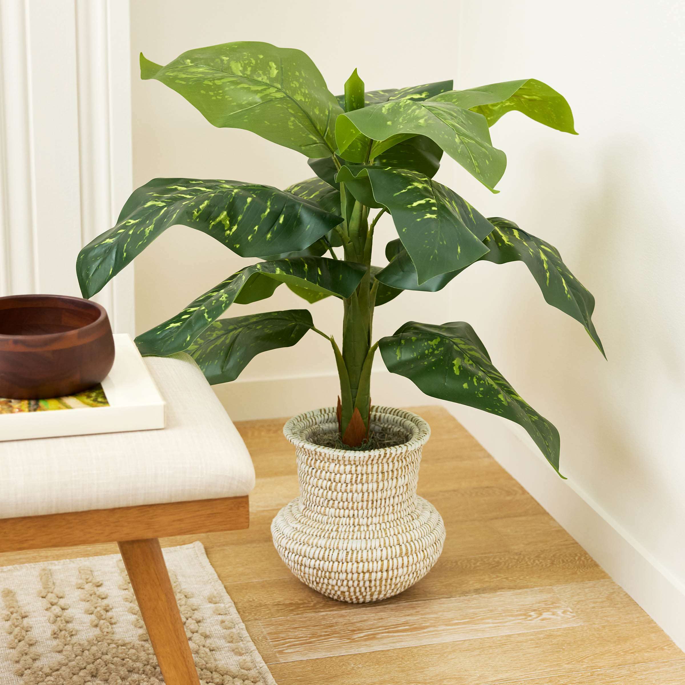 Dieffenbachia in Urn Basket, 40"