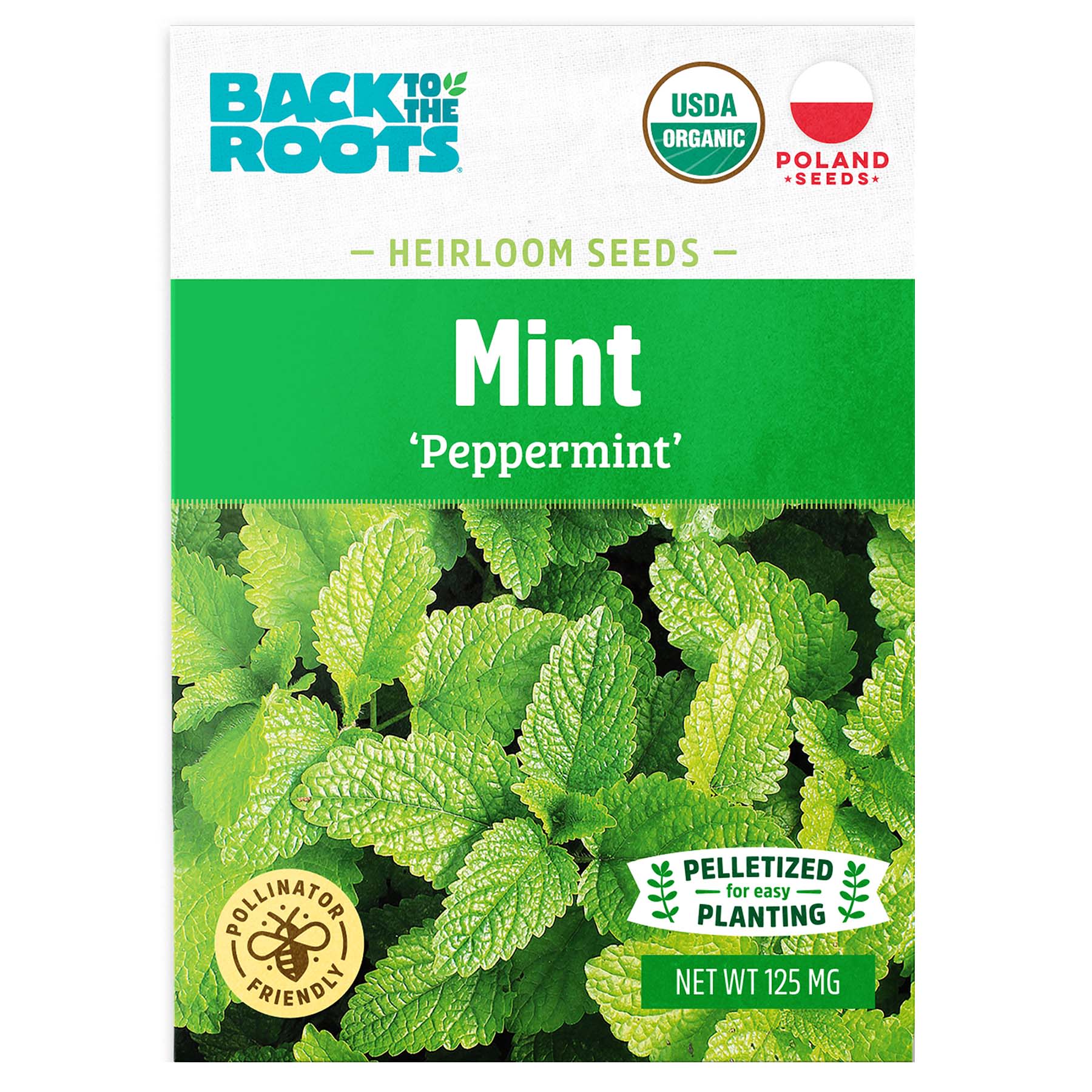 Back to Roots Heirlooms Seeds, Mint Peppermint