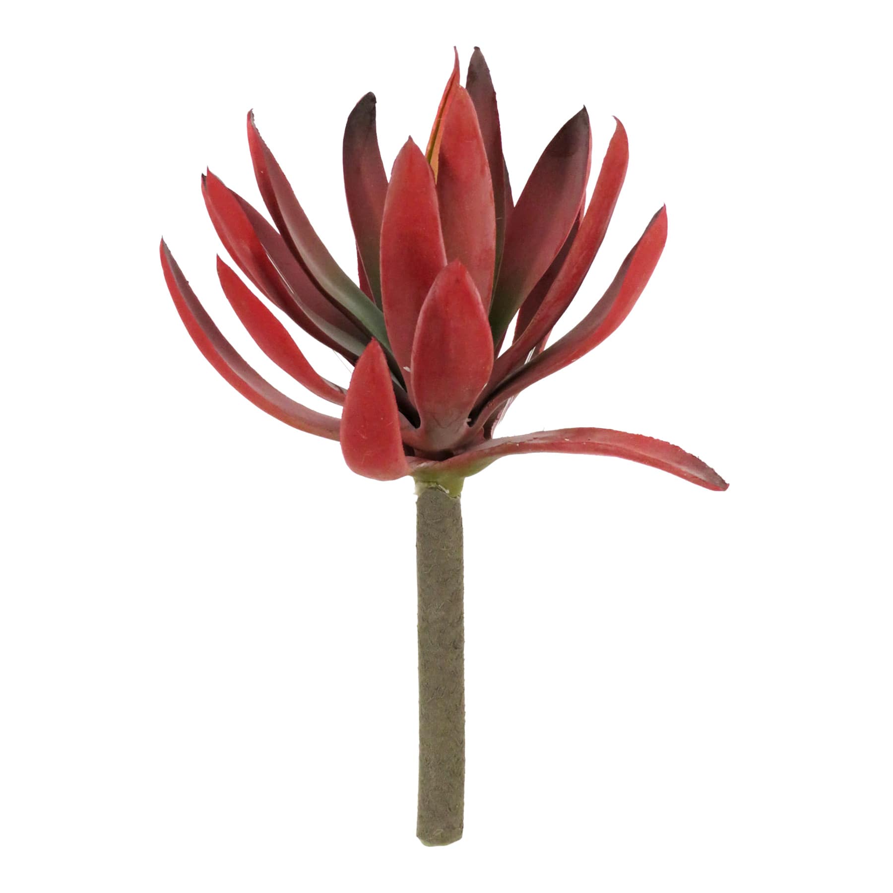 Red Agave Pick, 9"
