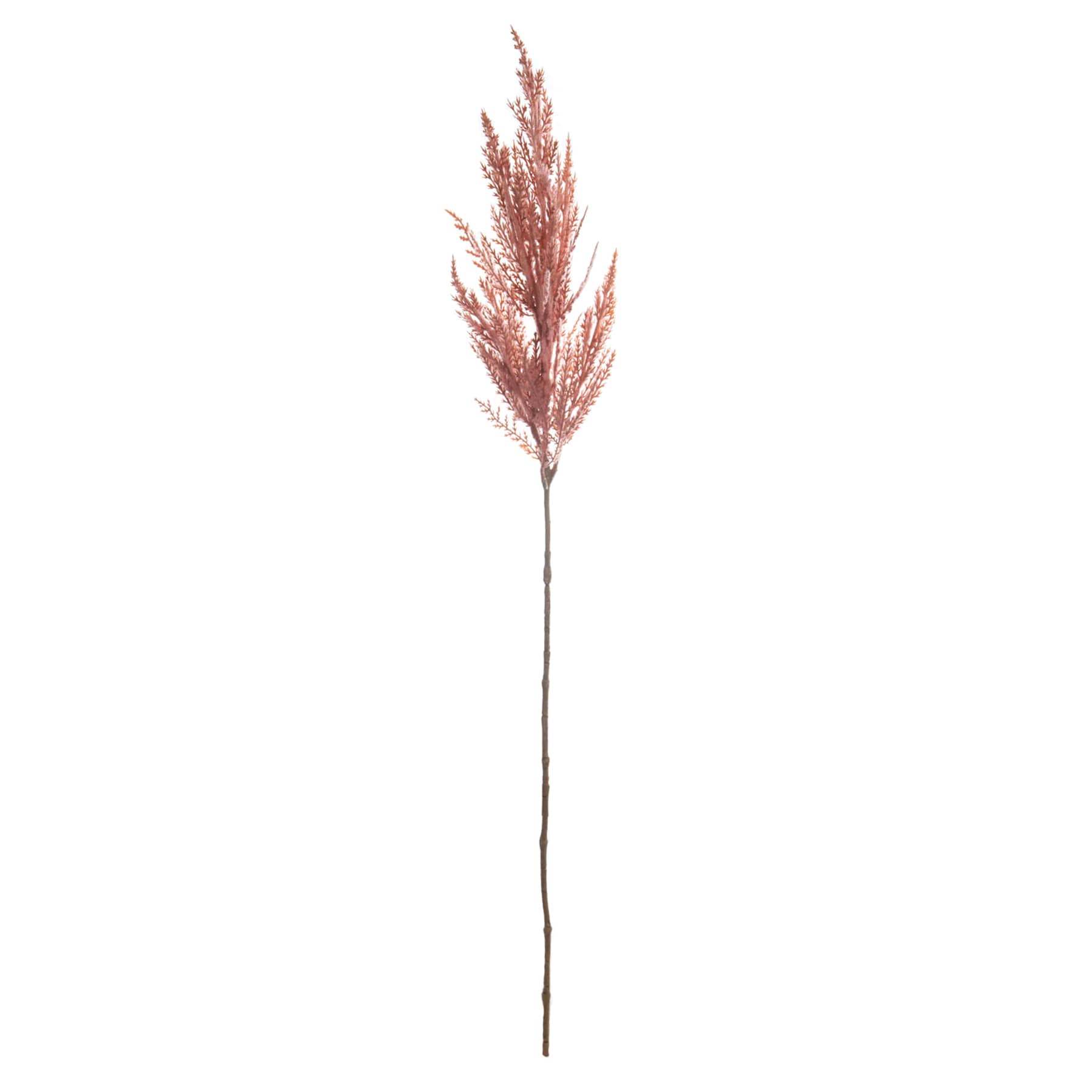 Light Pink Pampas Grass Stem, 32"