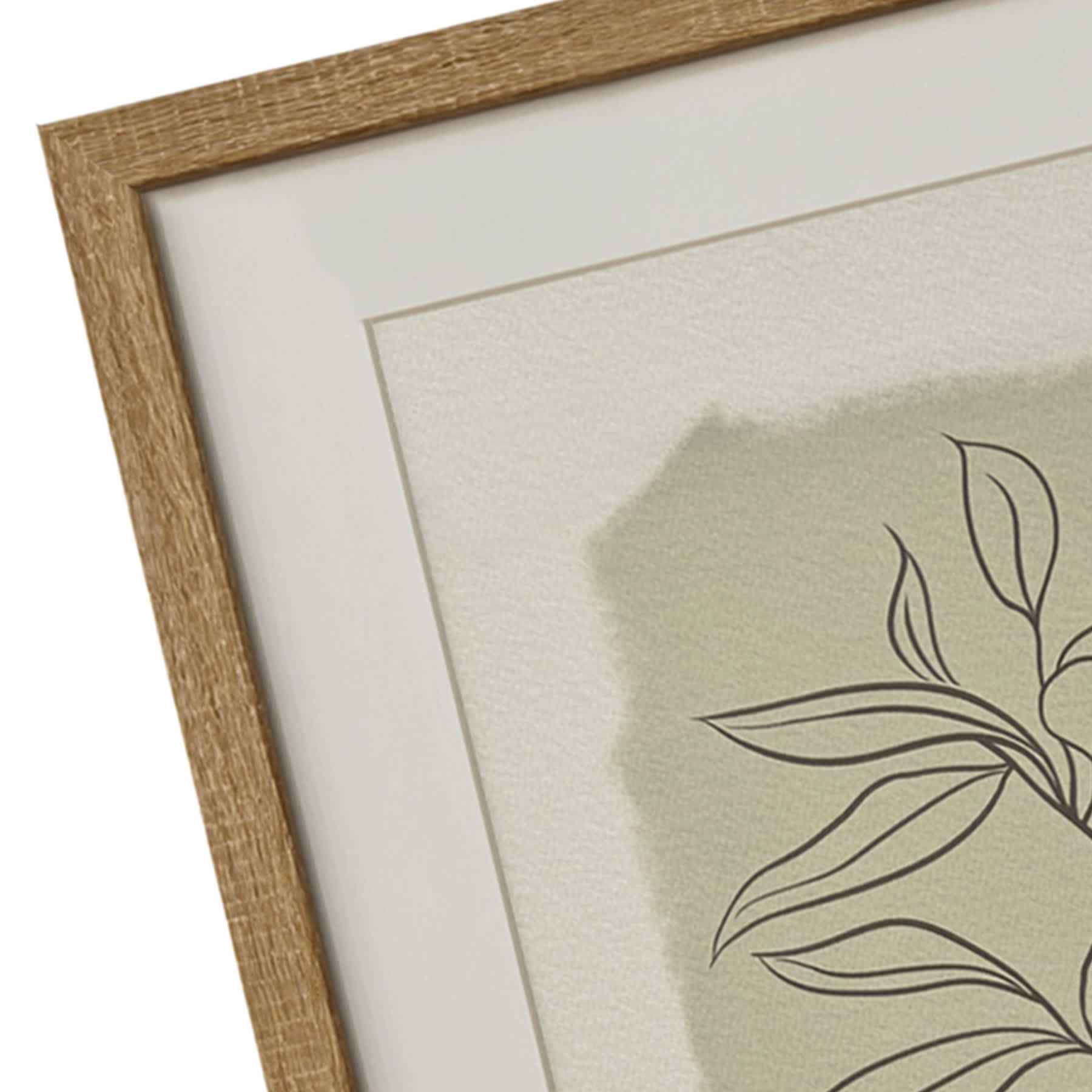 Glass Framed Leaves Print, 16x20