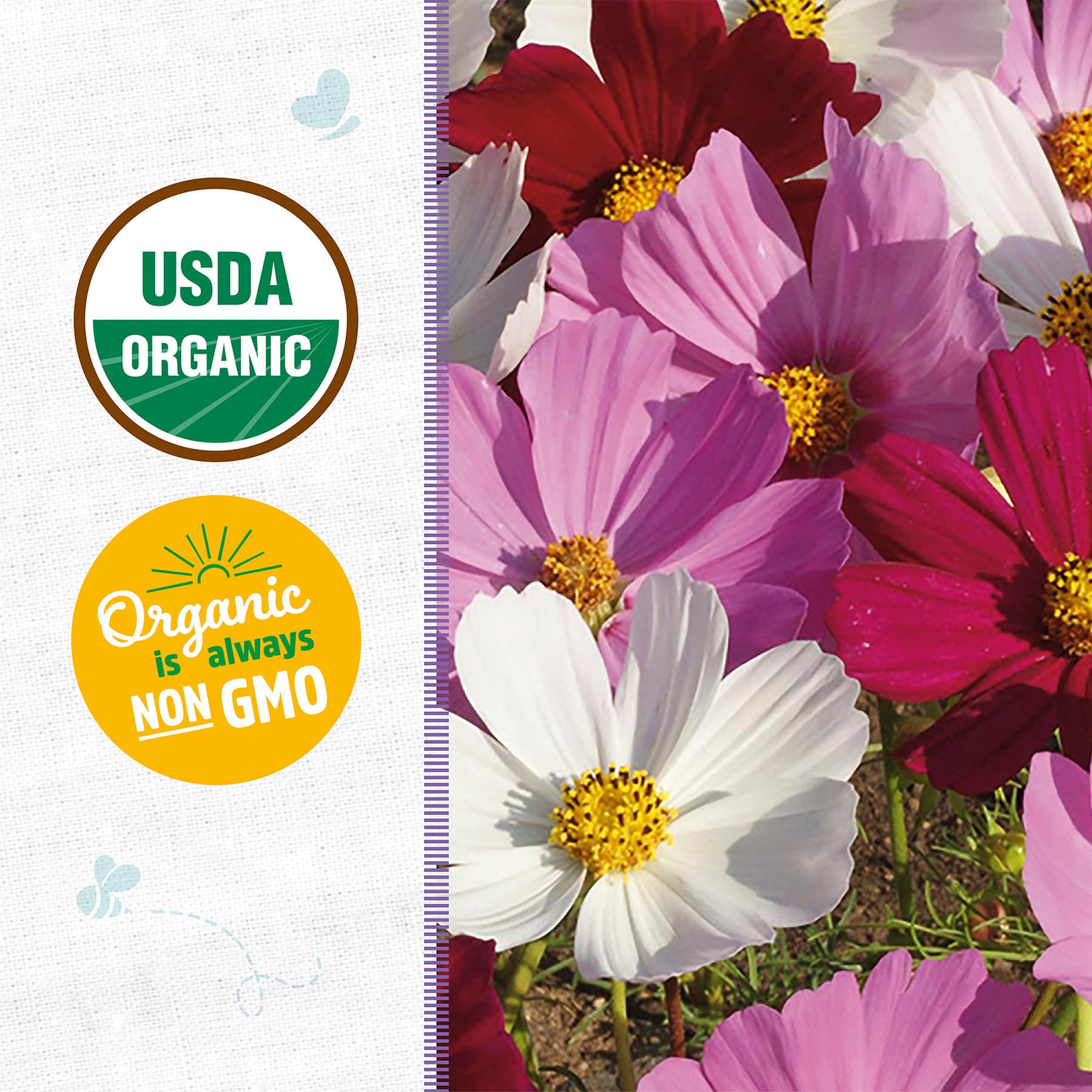 Back to Roots Heirloom Seeds, Cosmos Sensation Mix