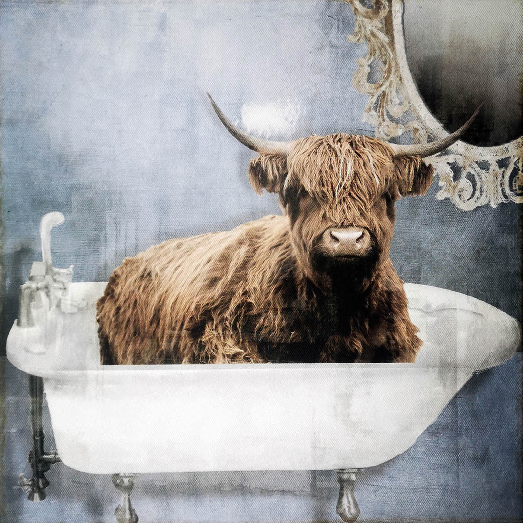 Bathtub Bull Canvas Wall Art, 12"