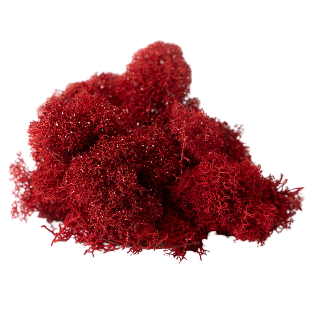 Glittered Red Reindeer Moss