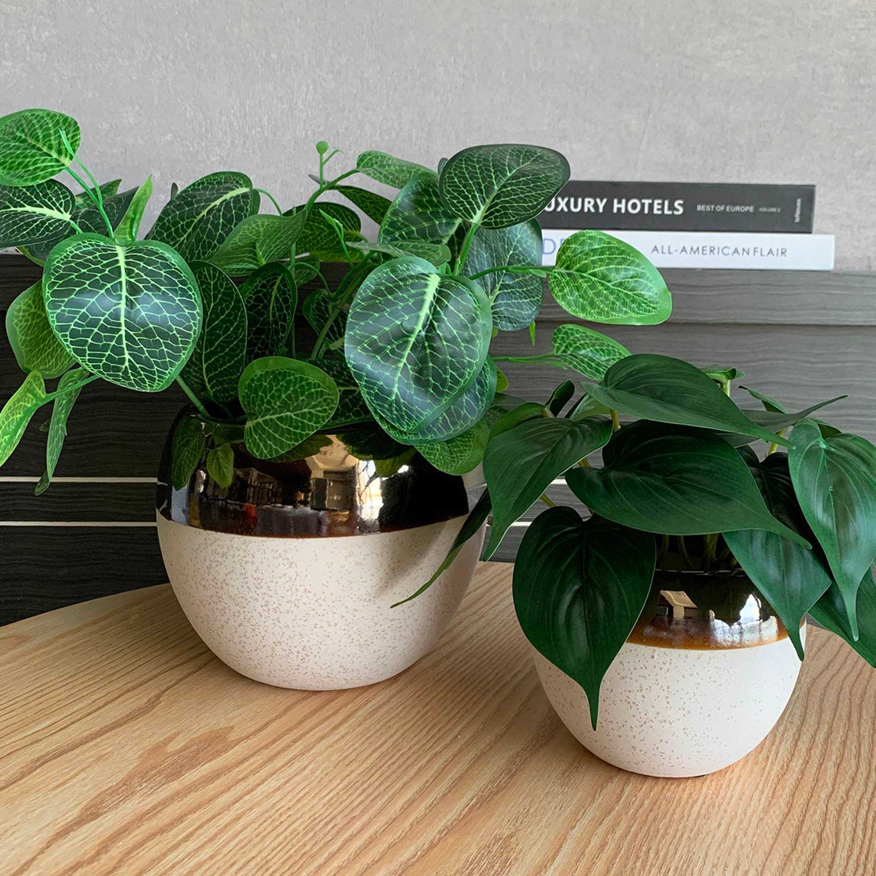 Indoor Cream Ceramic Pot with Bronze Trim, Small