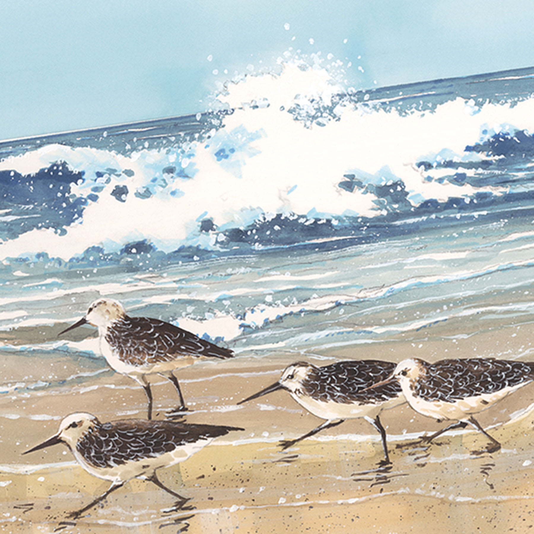 Honeybloom Sandpiper Canvas Wall Art, 18x36