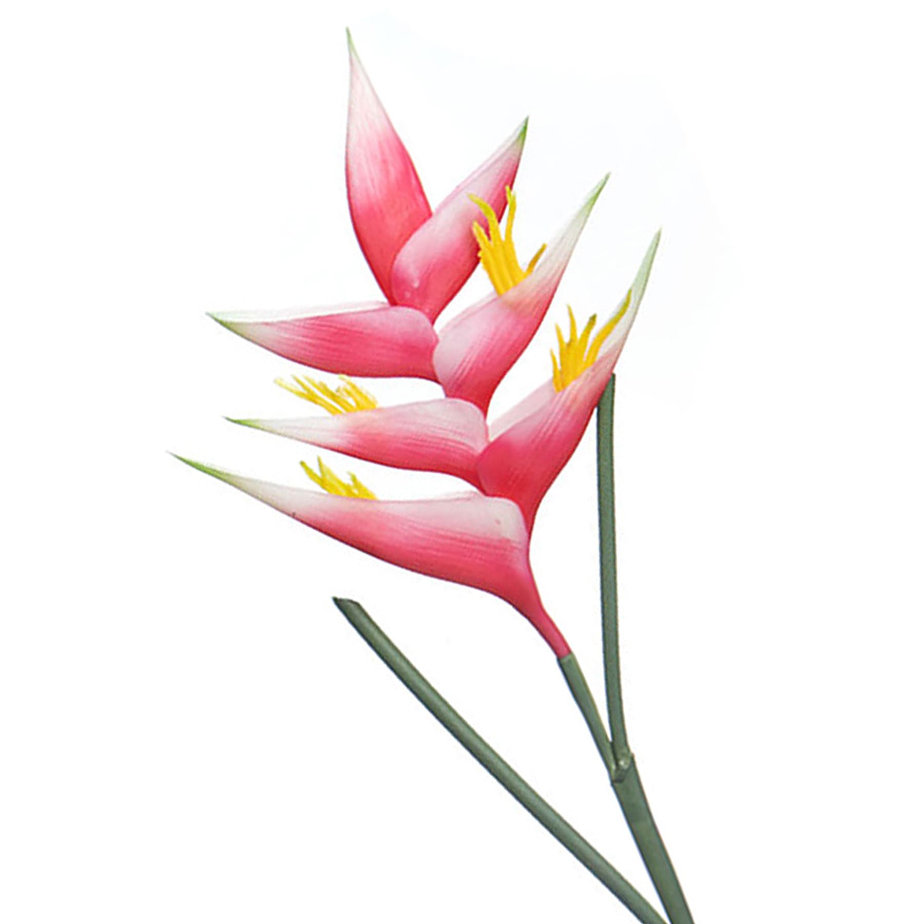 Helicopia Floral Stem, 34"