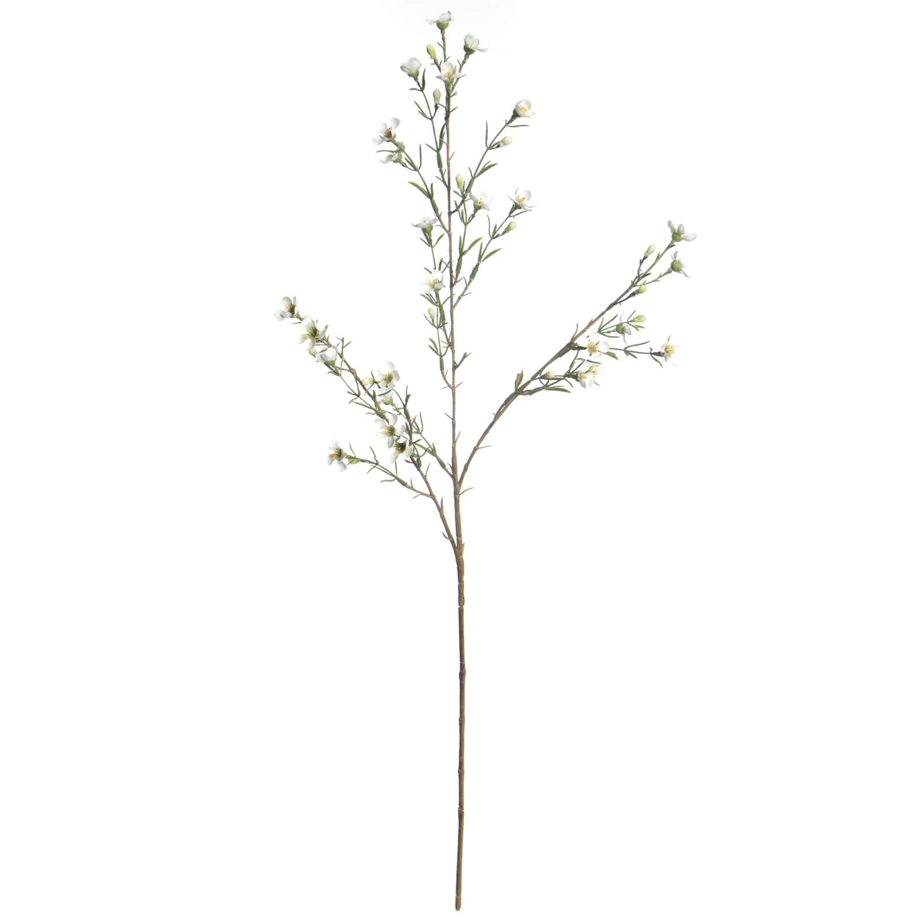 Willow Crossley White Wax Flower Spray, 30"