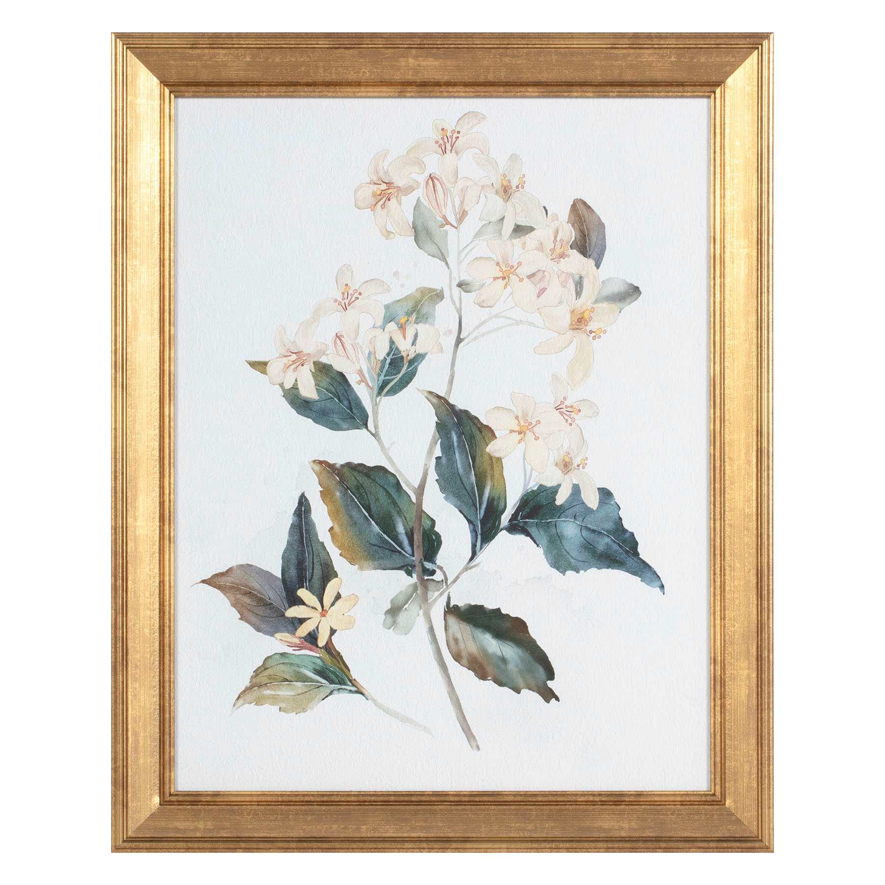 Providence Glass Framed Floral Print Wall Art, 16x20