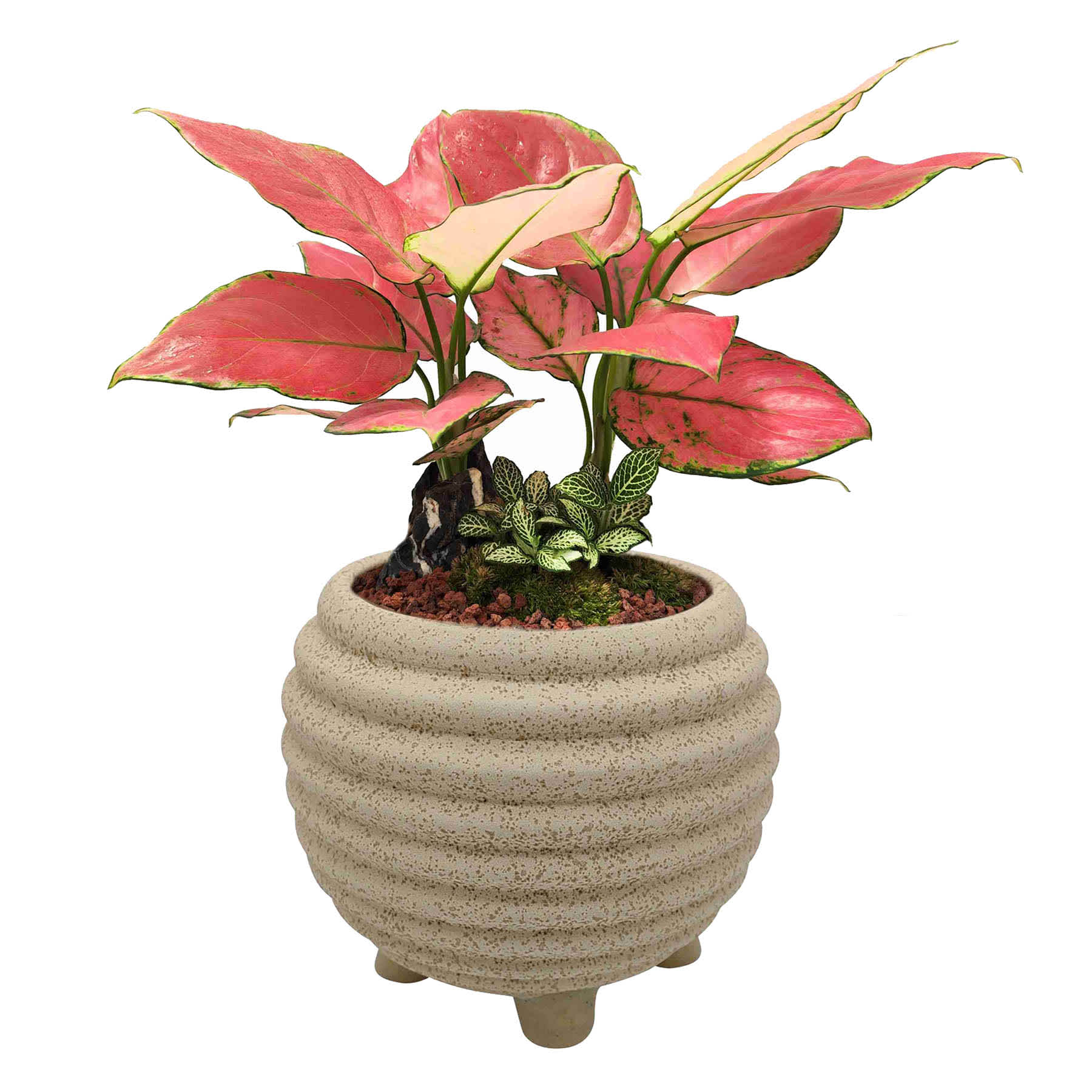 Indoor Elle Tan Planter, 5"
