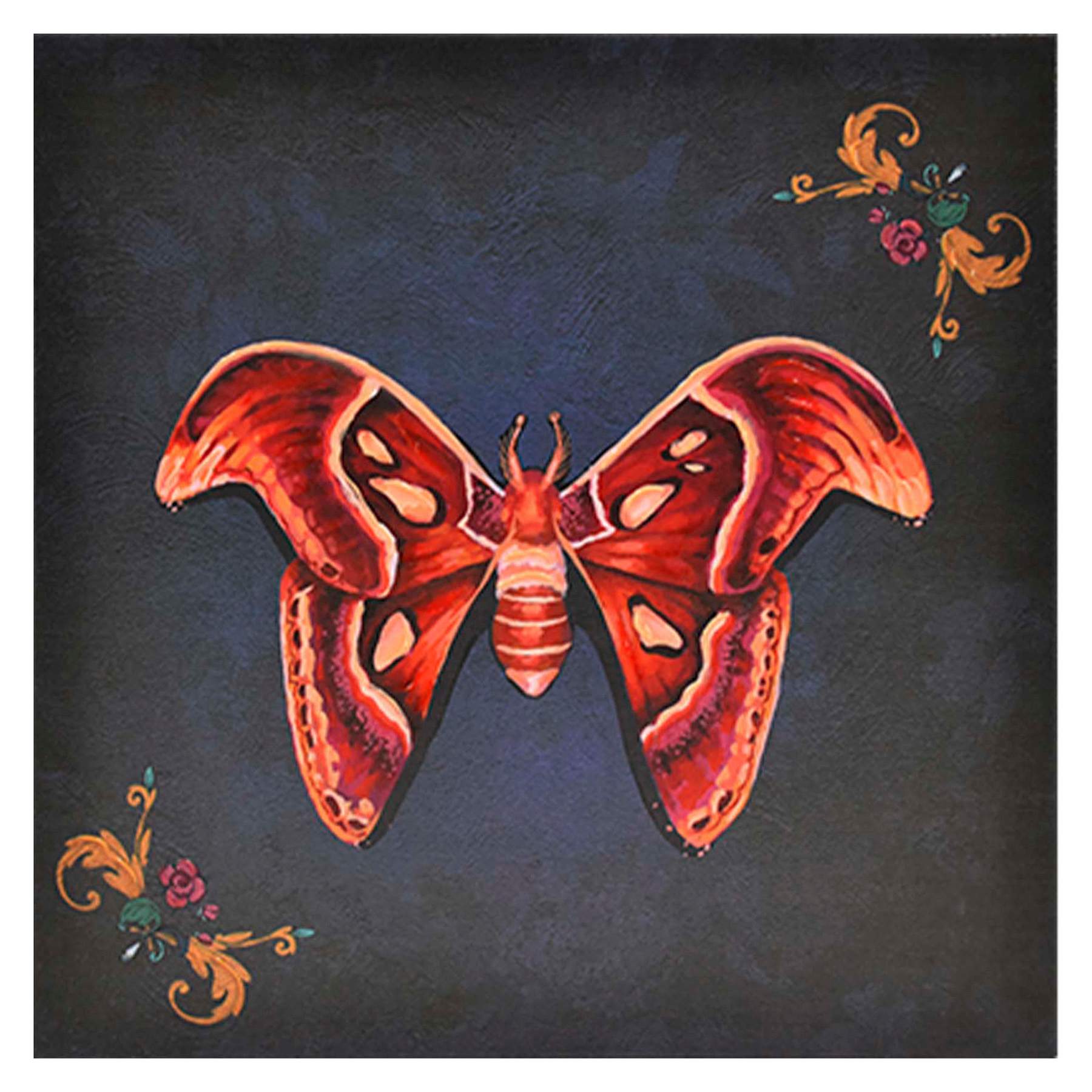 SCADpro Moth Canvas Wall Art, 12"