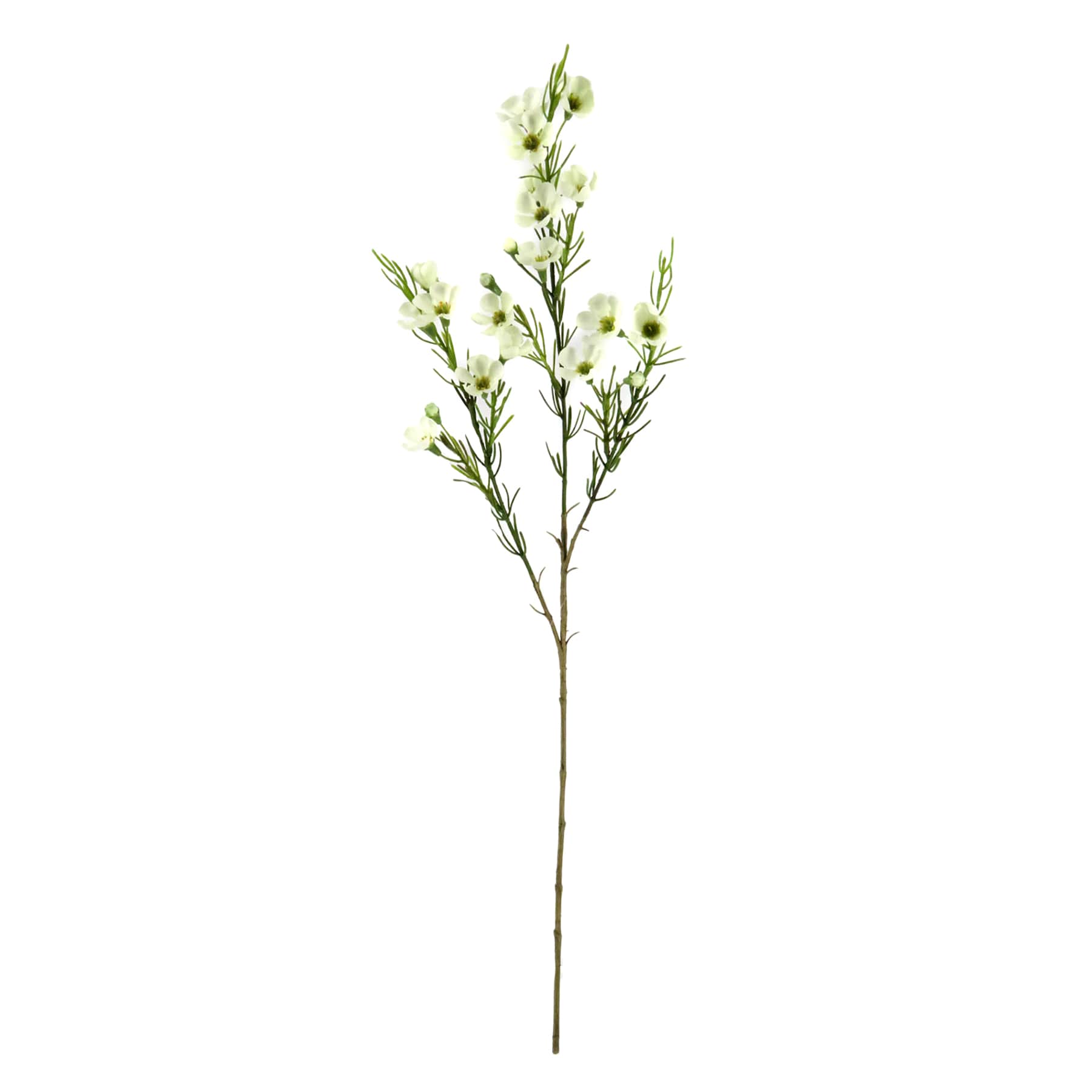 Willow Crossley White Waxflower Floral Spray, 30"