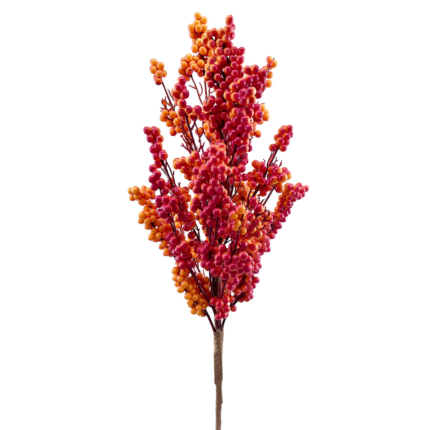 Orange Berries Bush, 20"