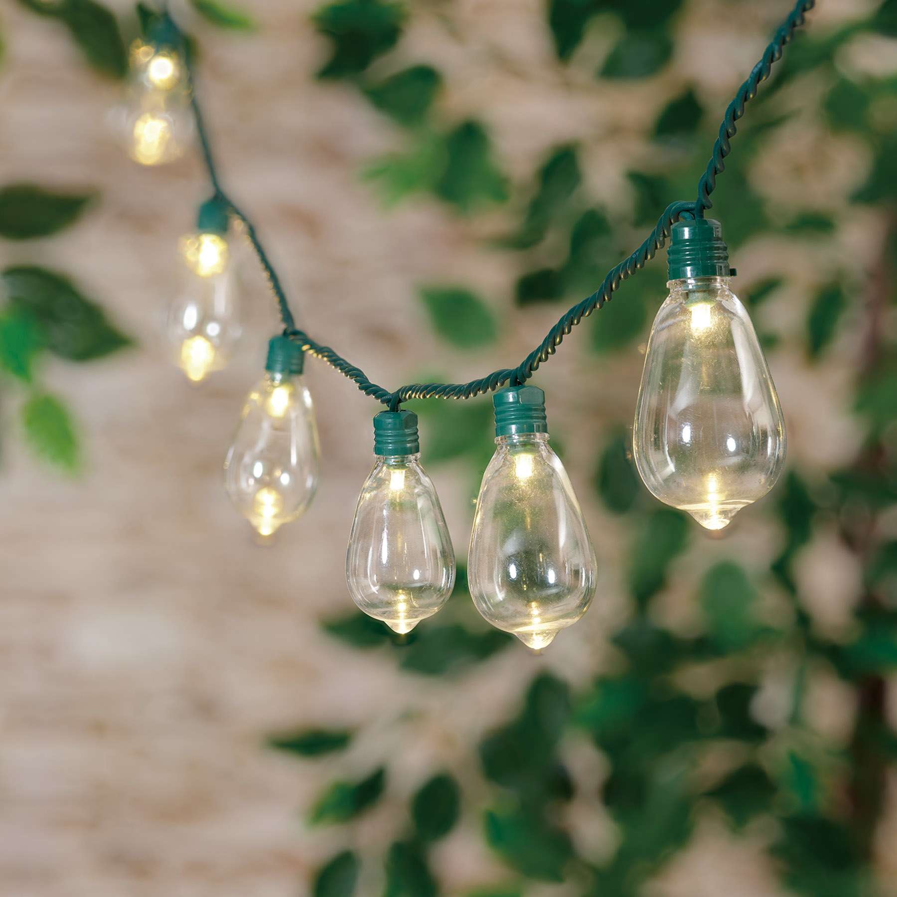 30-Count LED Edison String Lights with Green Wire