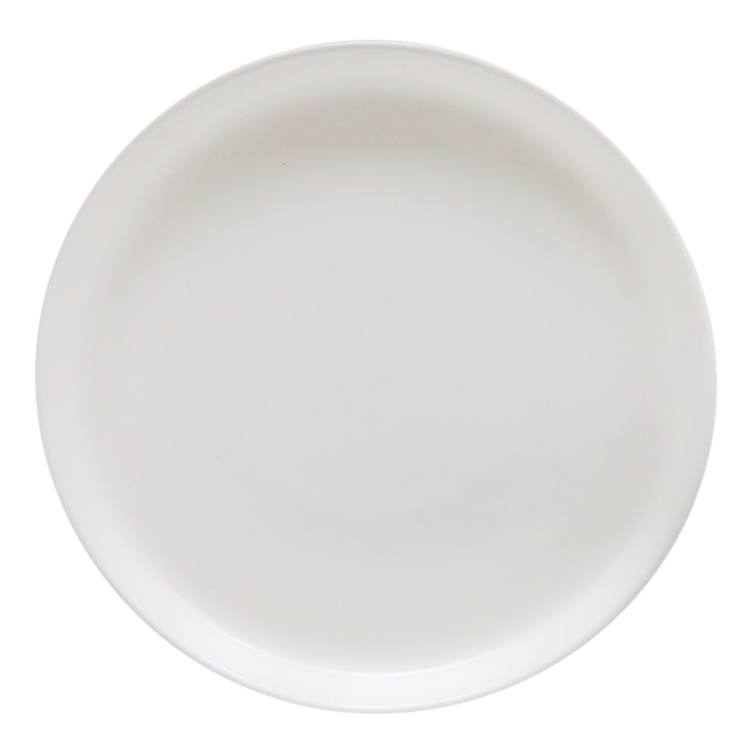 Crosby St. Egret Salad Plate