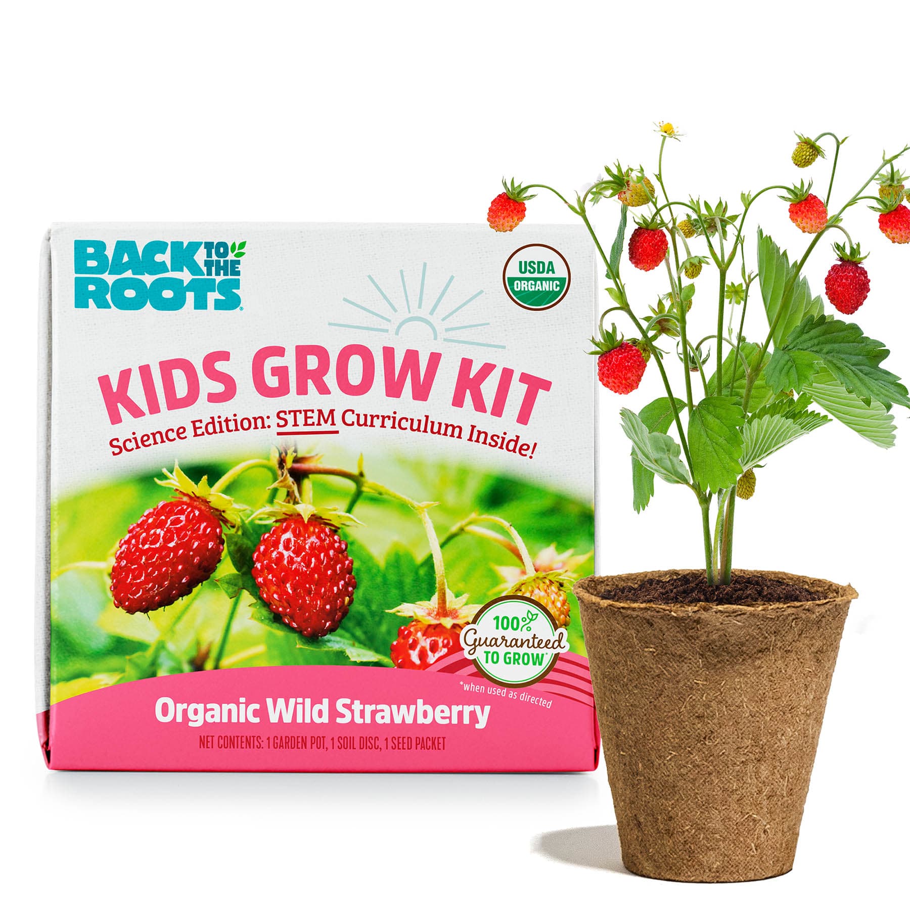 Back to Roots Kids Grow Kit, Strawberry