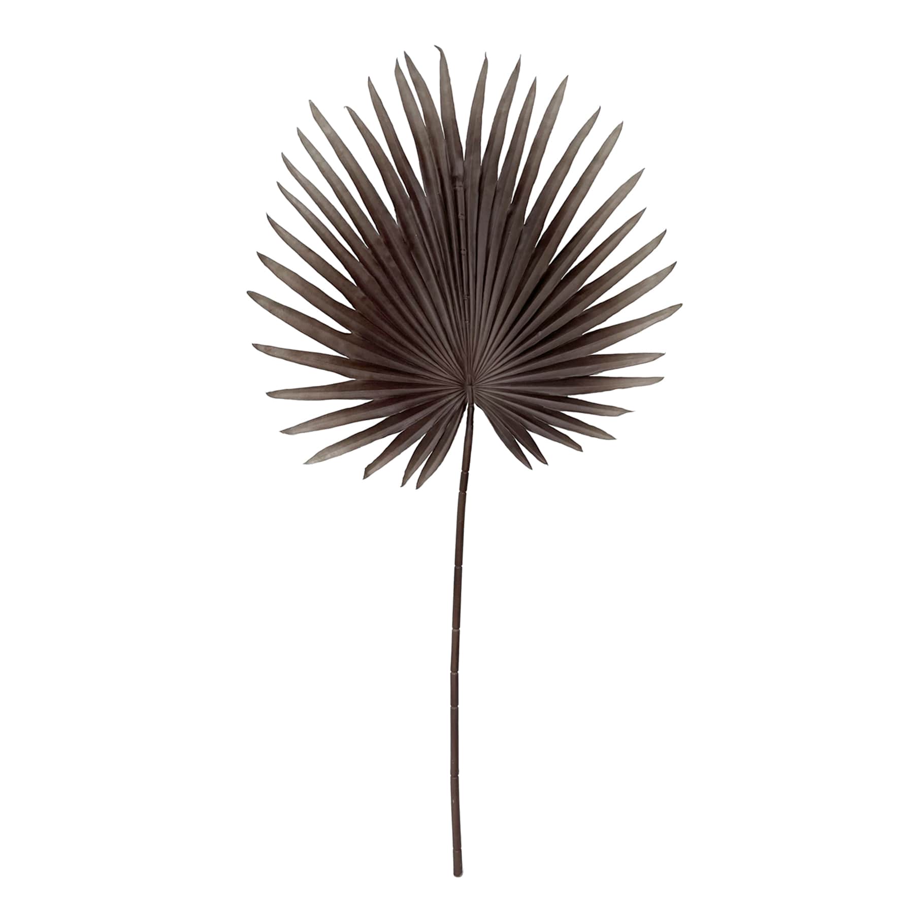 Tracey Boyd Dark Coffee Fan Palm Stem, 35"