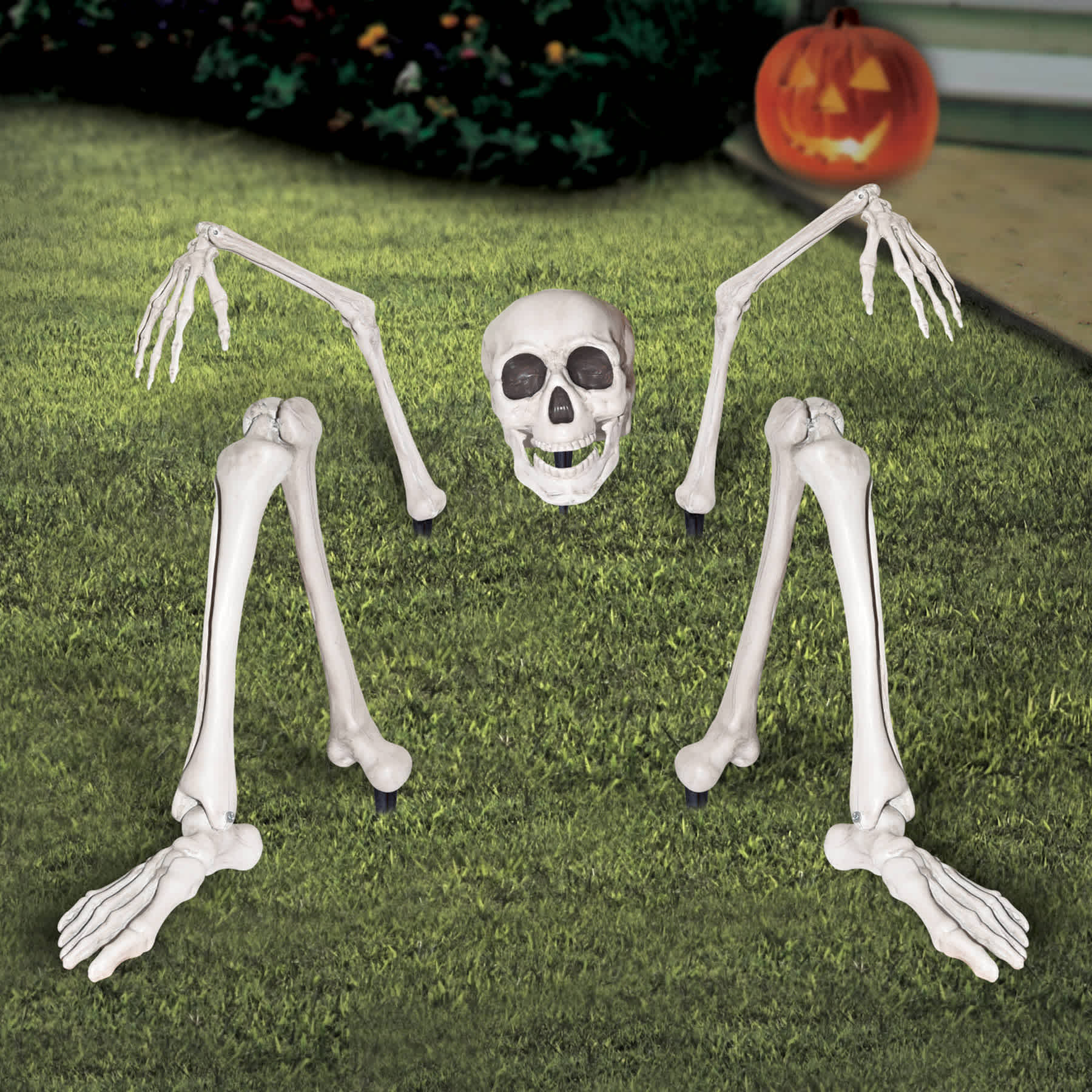 Life Size Ground Breaking Skeleton