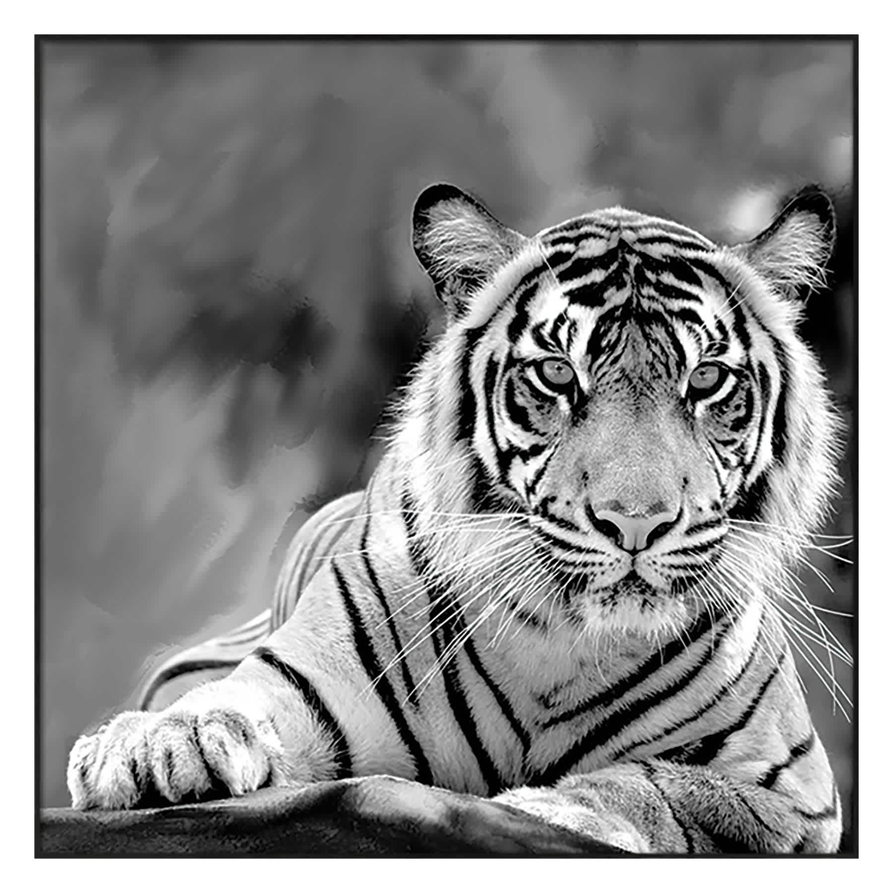 Glass Framed Tiger Print Wall Art, 27"